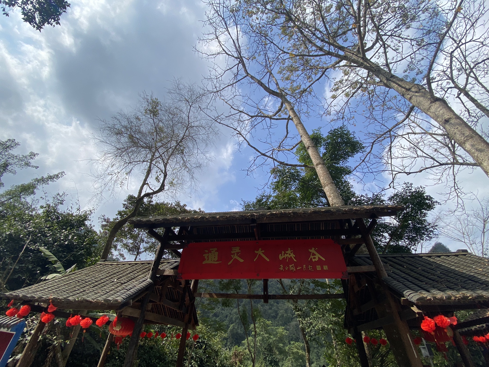 通灵大峡谷旅行图片 1