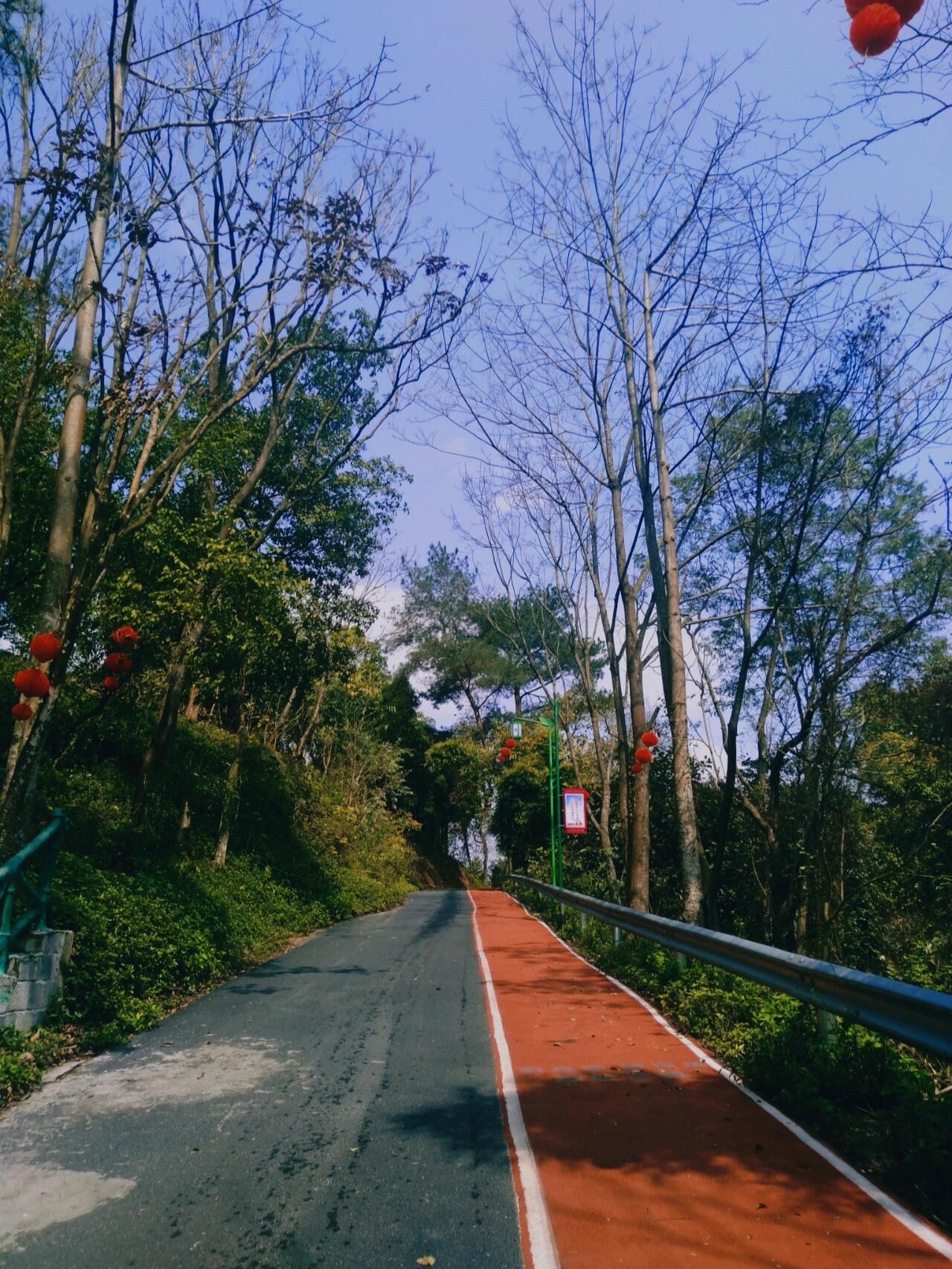 田林县万吉山公园旅行图片 3