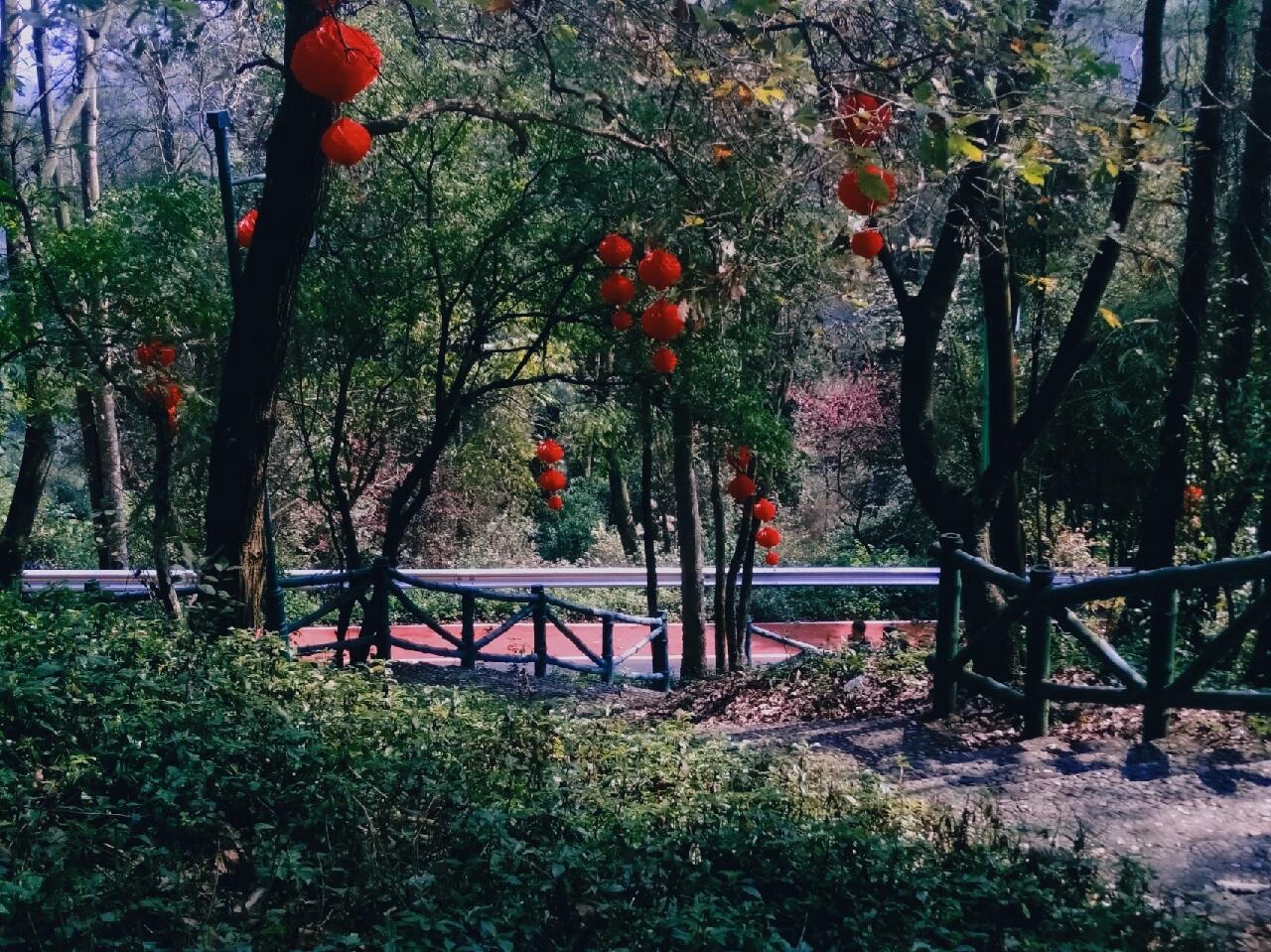 田林县万吉山公园旅行图片 1