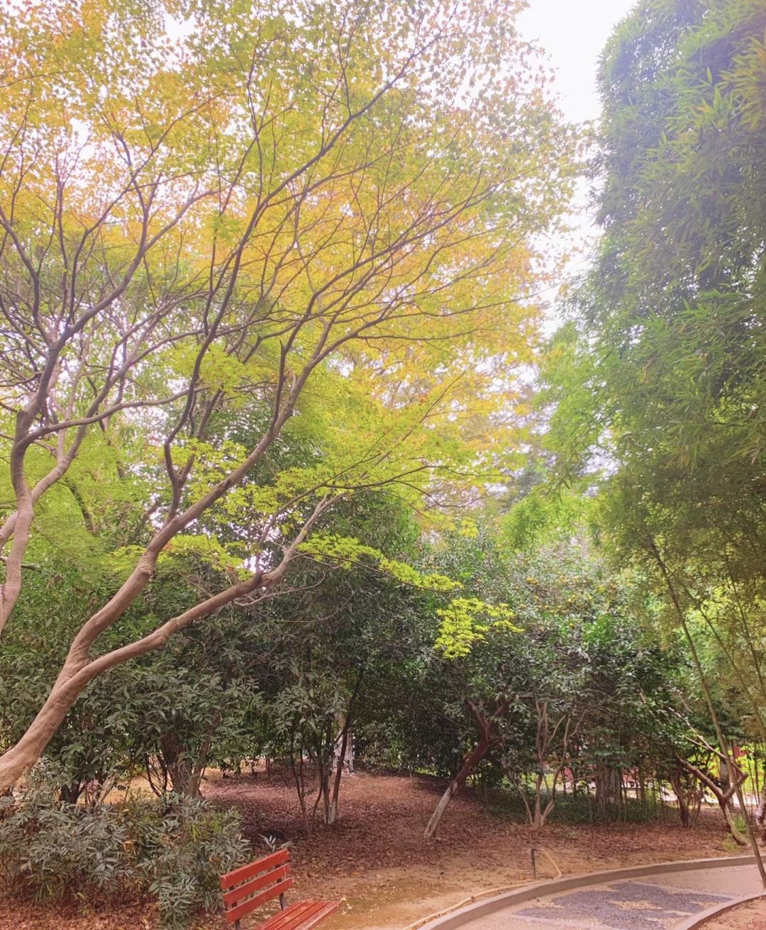 百色人民公园旅行图片 2