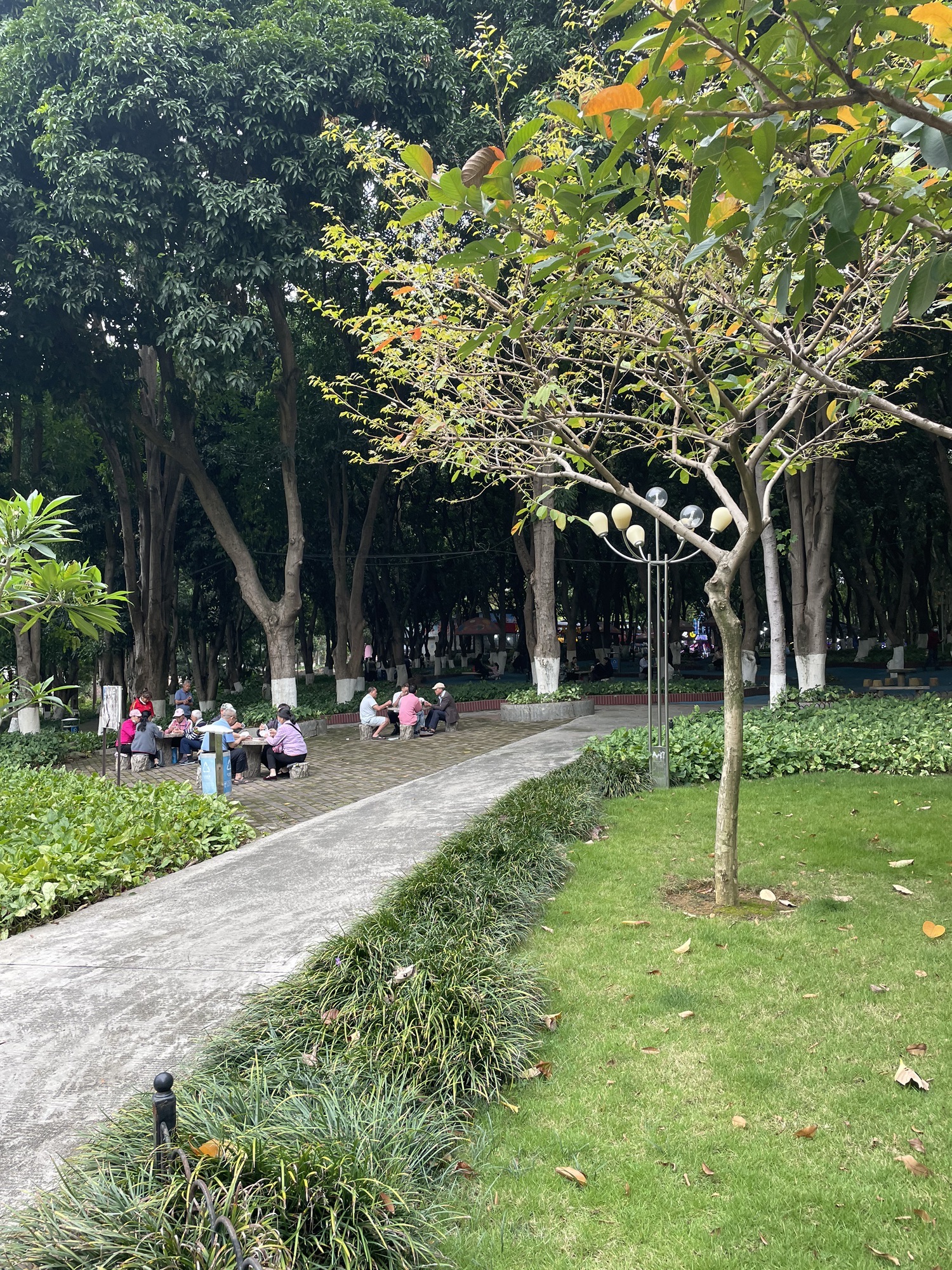 百色人民公园旅行图片 2