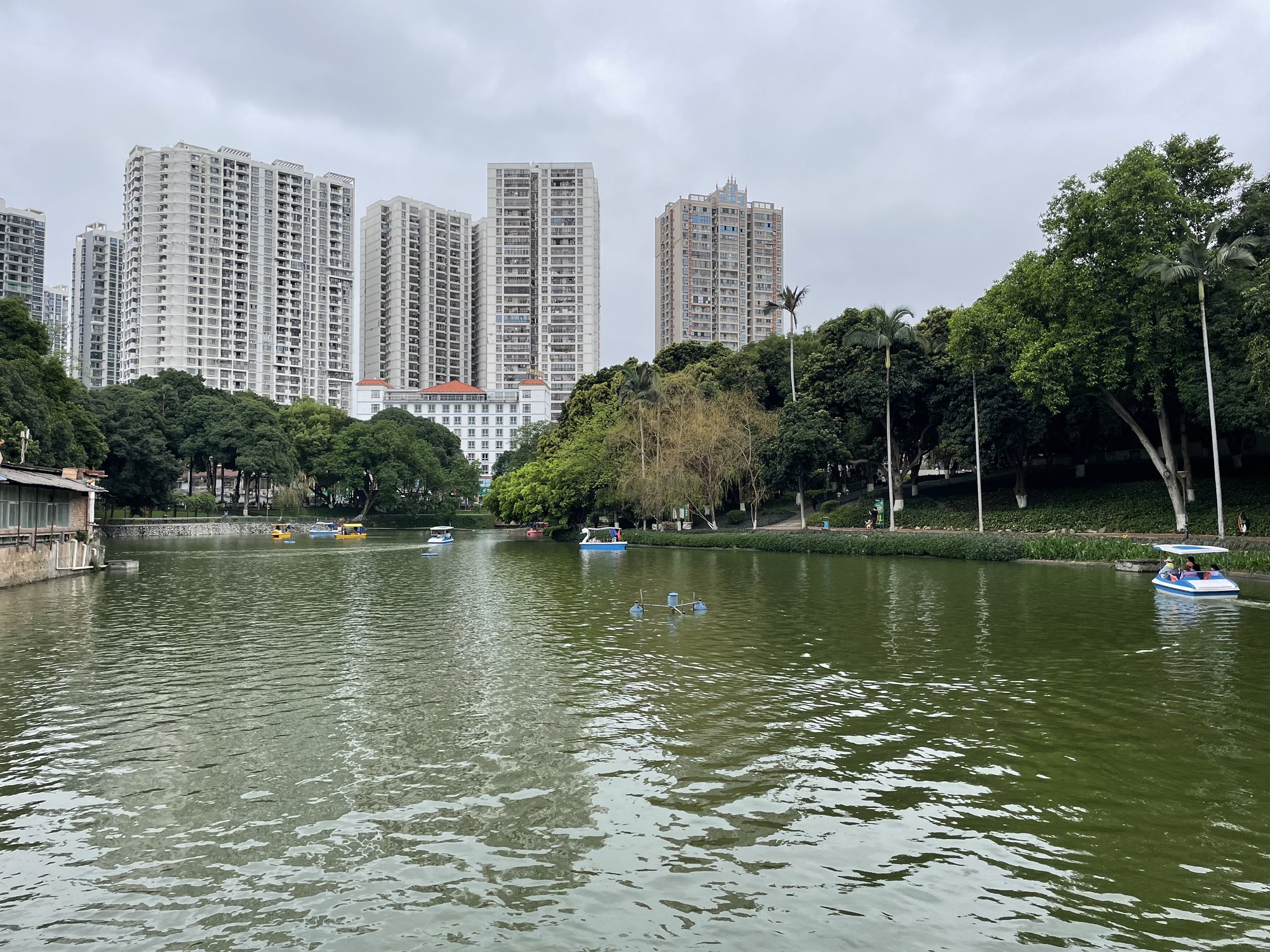 百色人民公园旅行图片 1