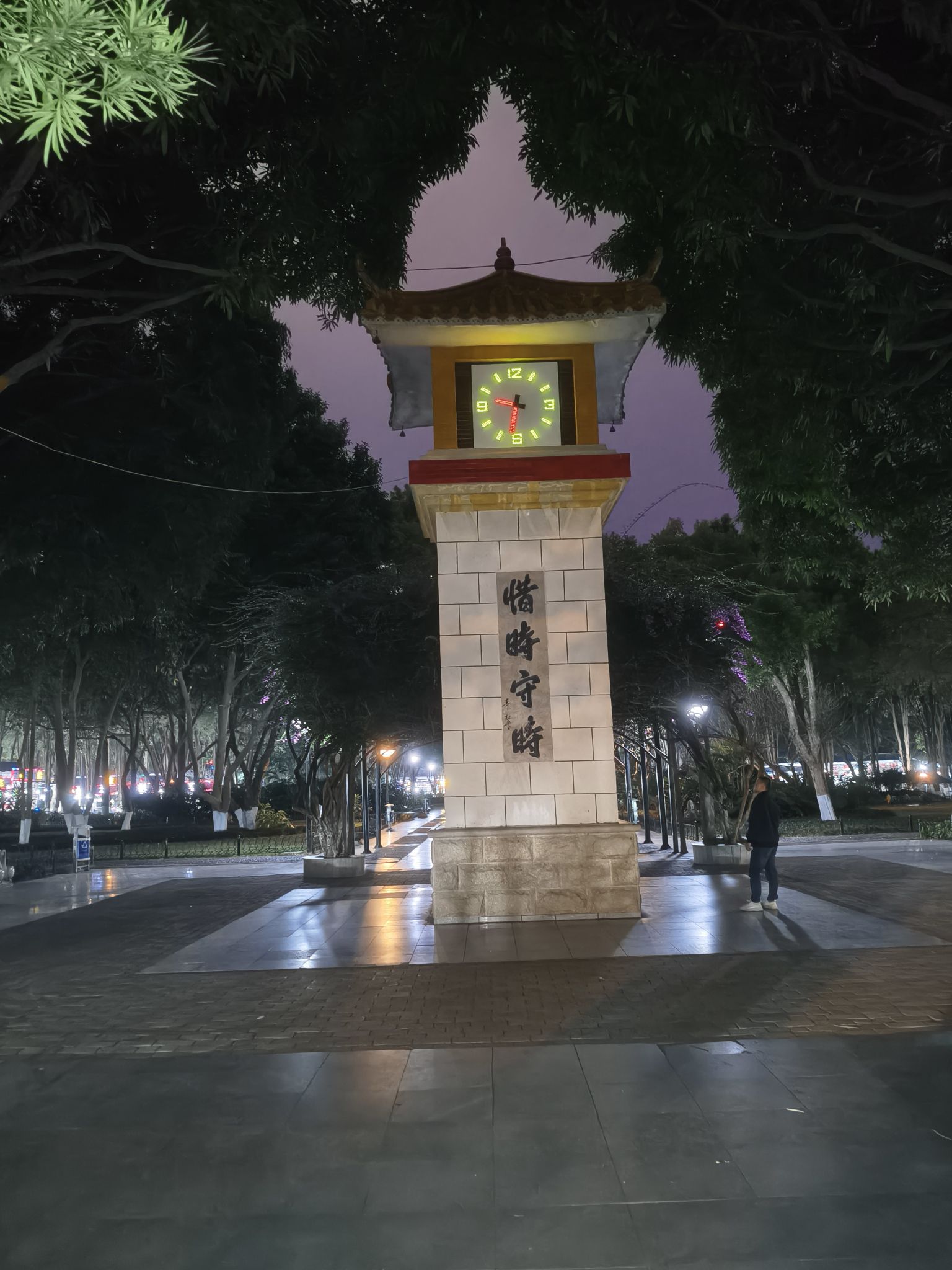 百色人民公园旅行图片 1