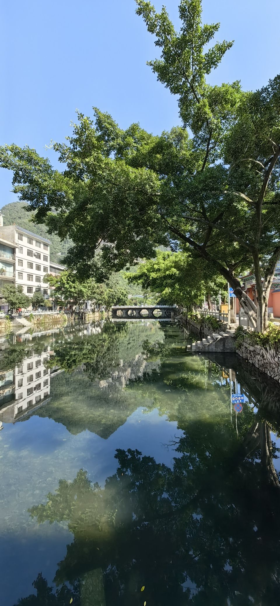 泗城文庙旅行图片 3
