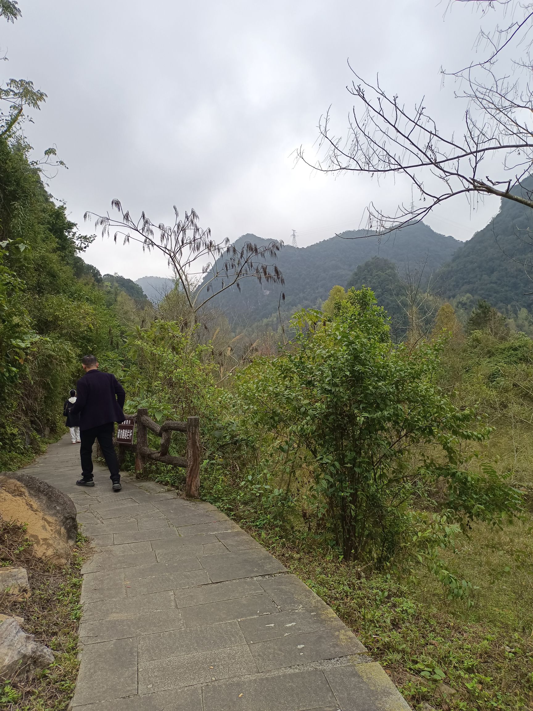 德保红叶森林公园旅行图片 3