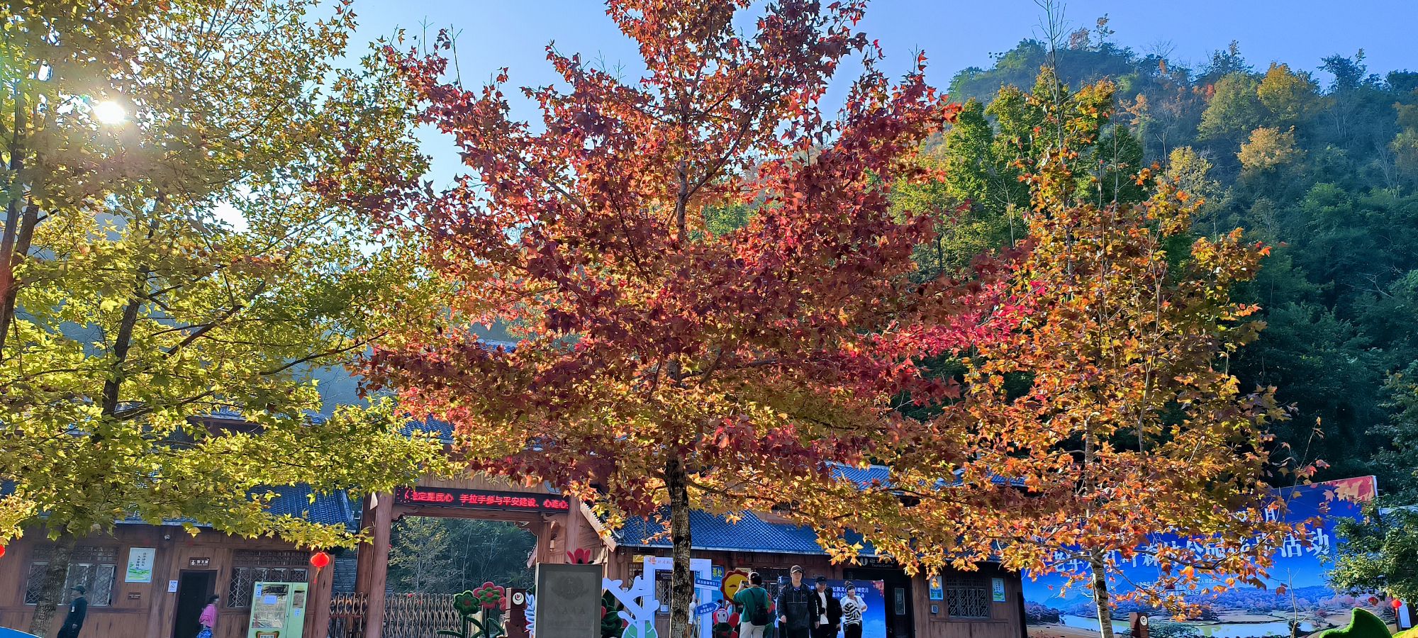 德保红叶森林公园旅行图片 1