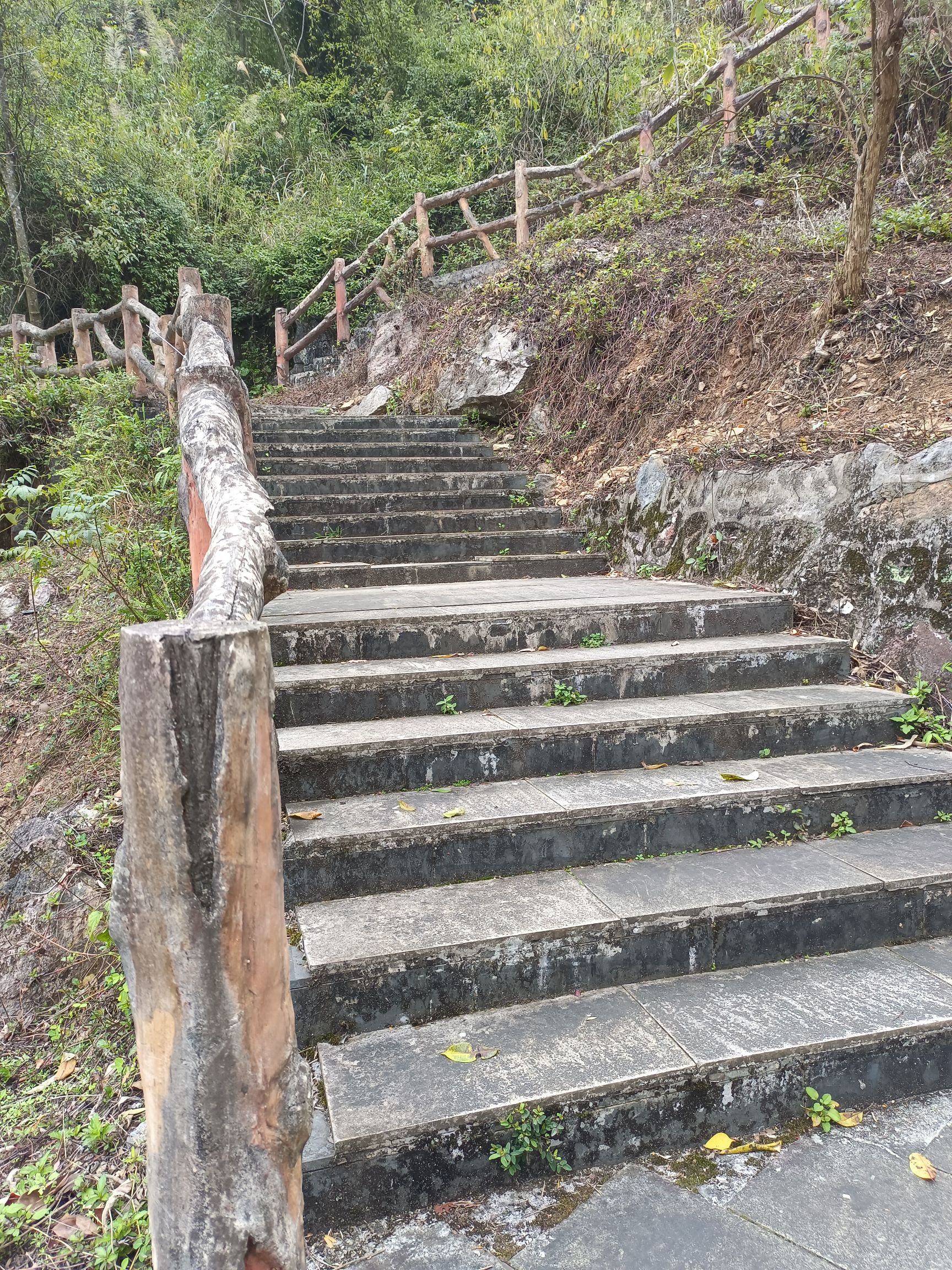 德保红叶森林公园旅行图片 1