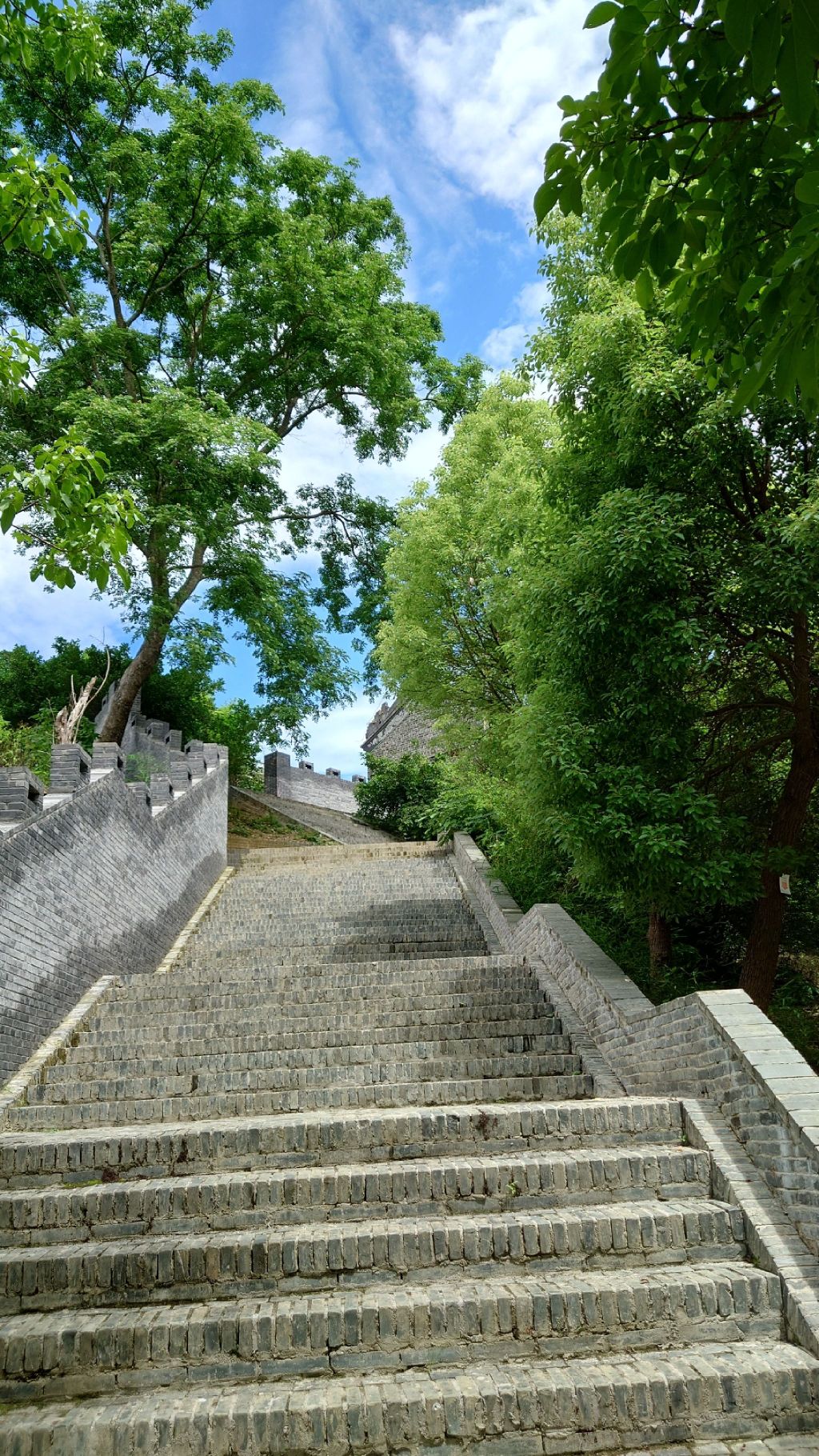 宫保府旅行图片 2