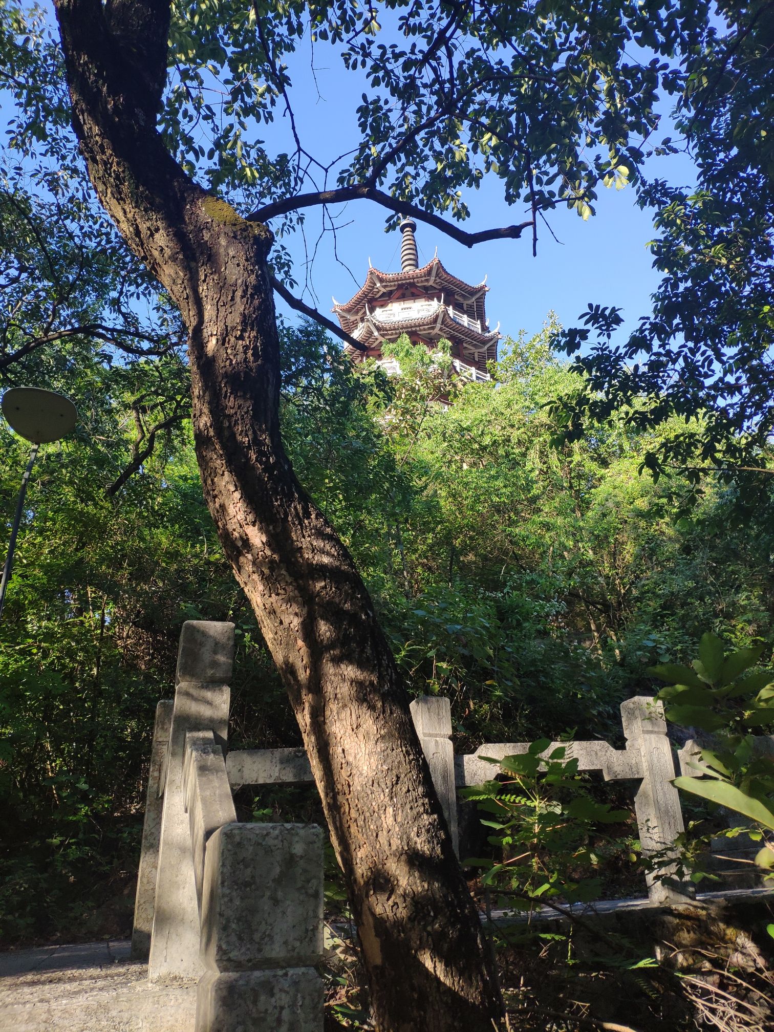 马头山清心公园旅行图片 3