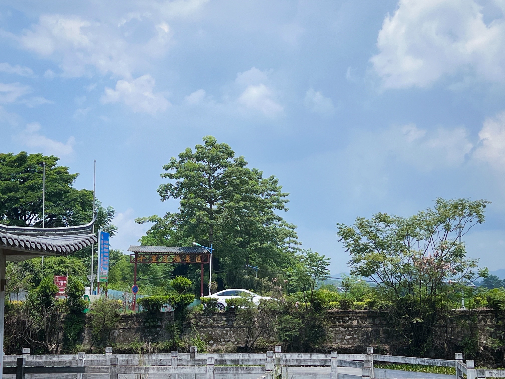 十里莲塘景区旅行图片 2
