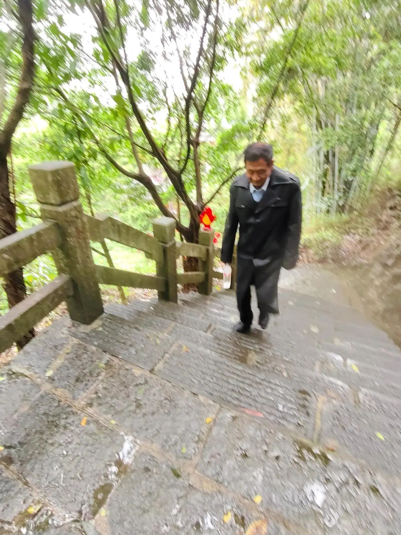 通天地下河旅行图片 3