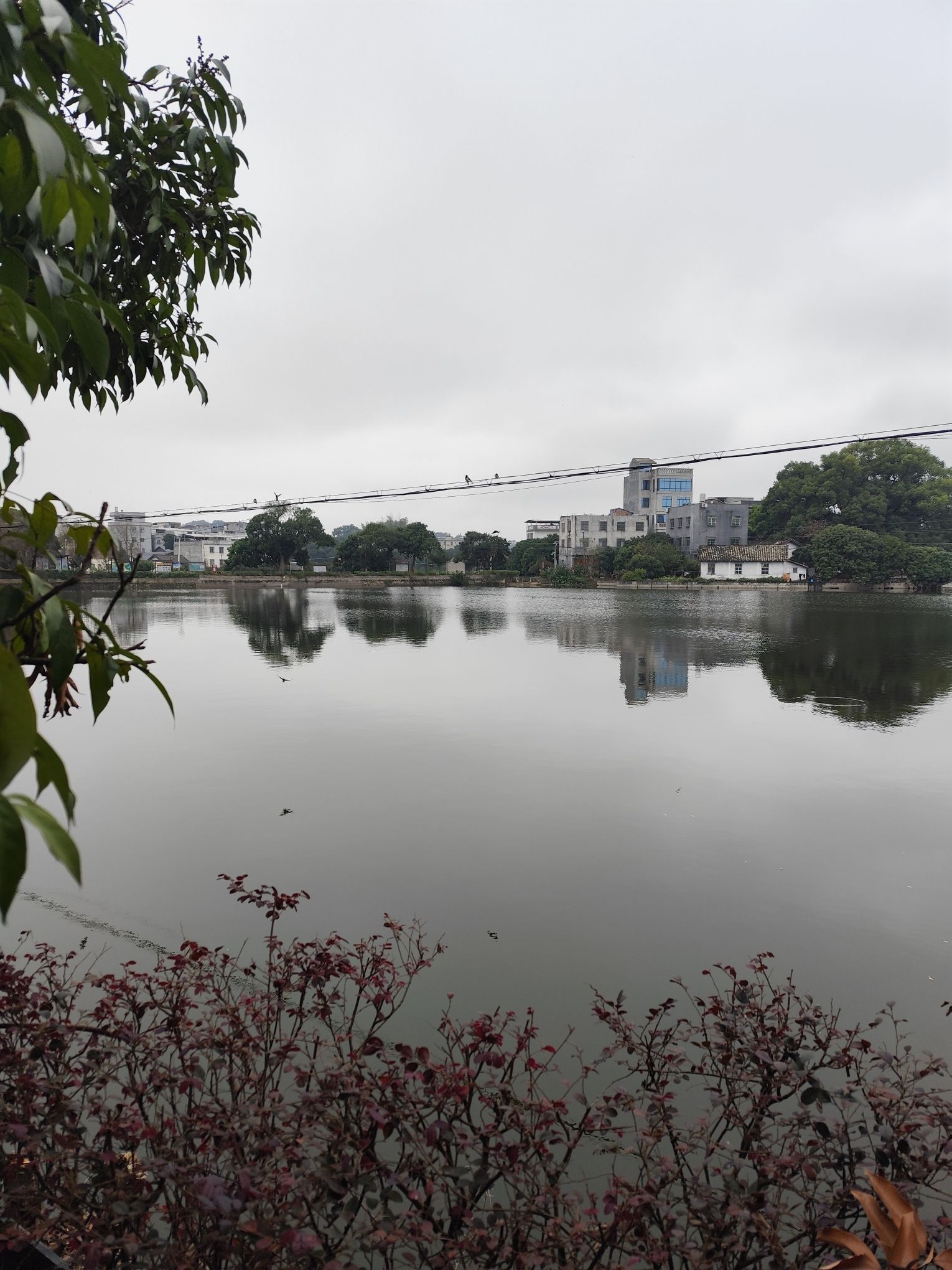 大芦古村文化生态旅游区旅行图片 3