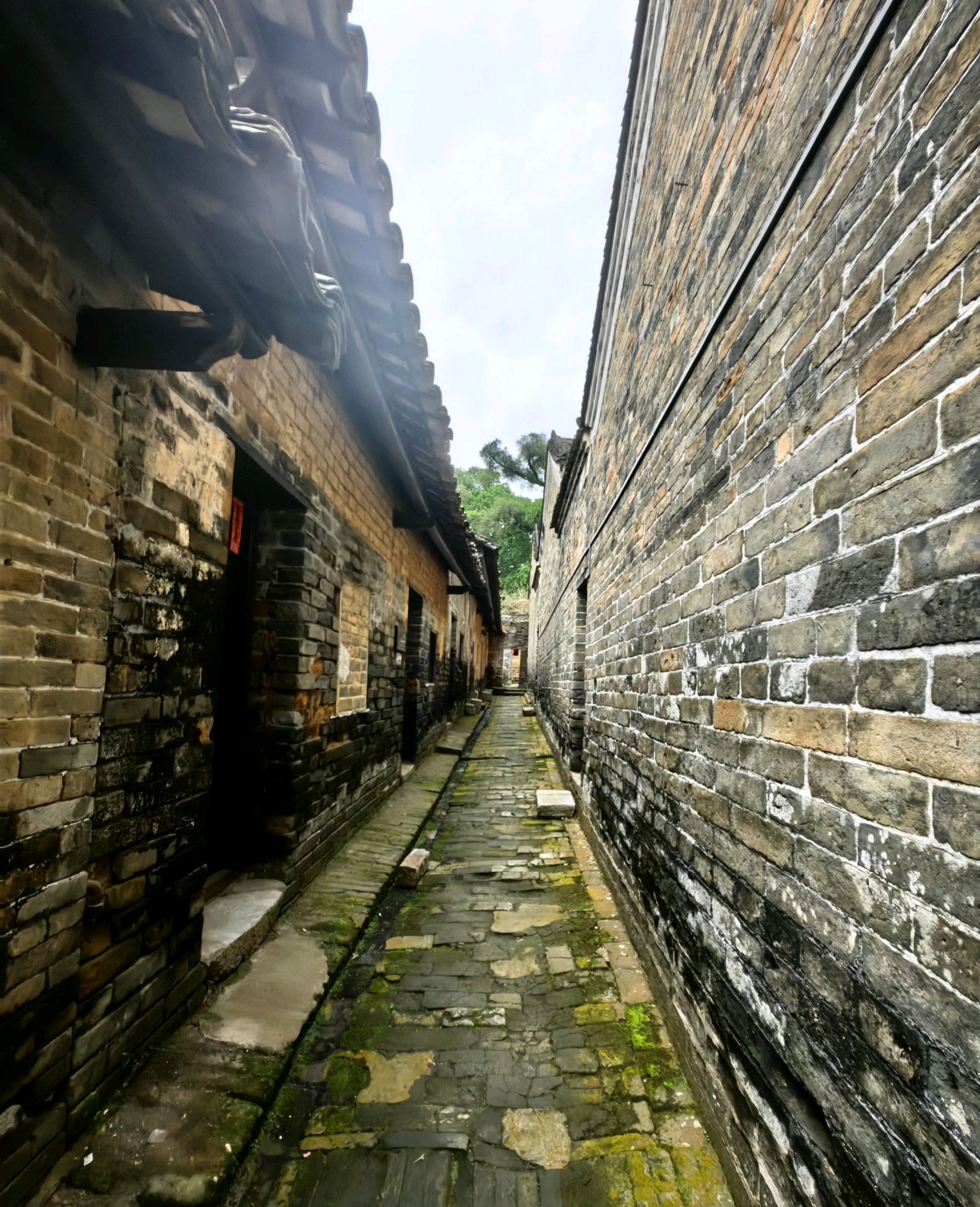 大芦古村文化生态旅游区旅行图片 3