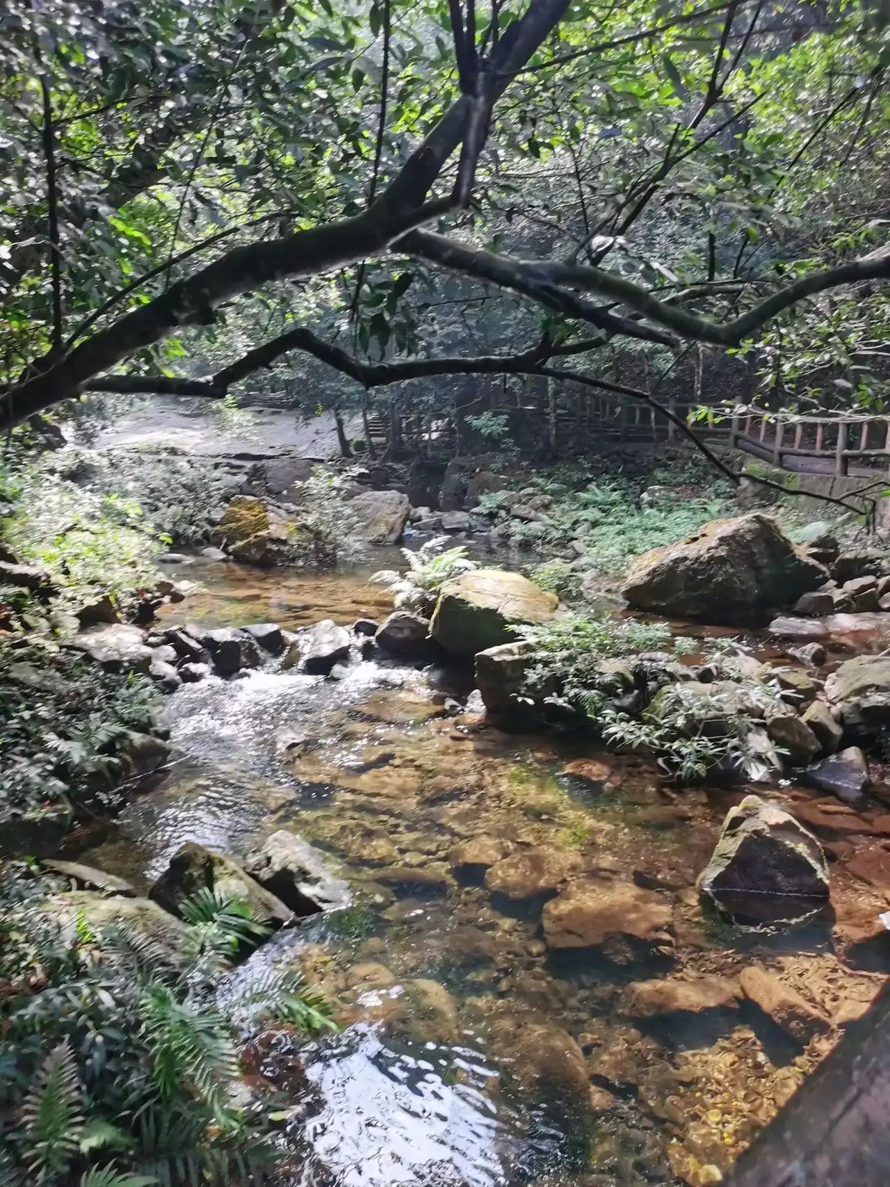 八寨沟旅游景区旅行图片 2