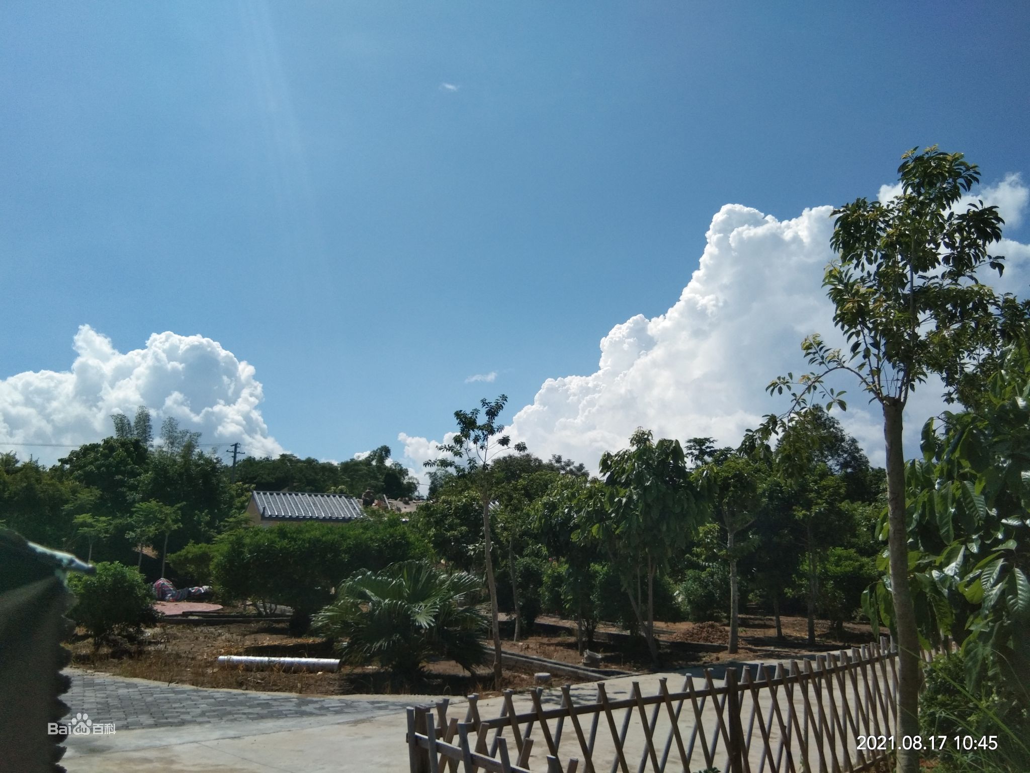 邓阳湖农业生态旅游景区旅行图片 2