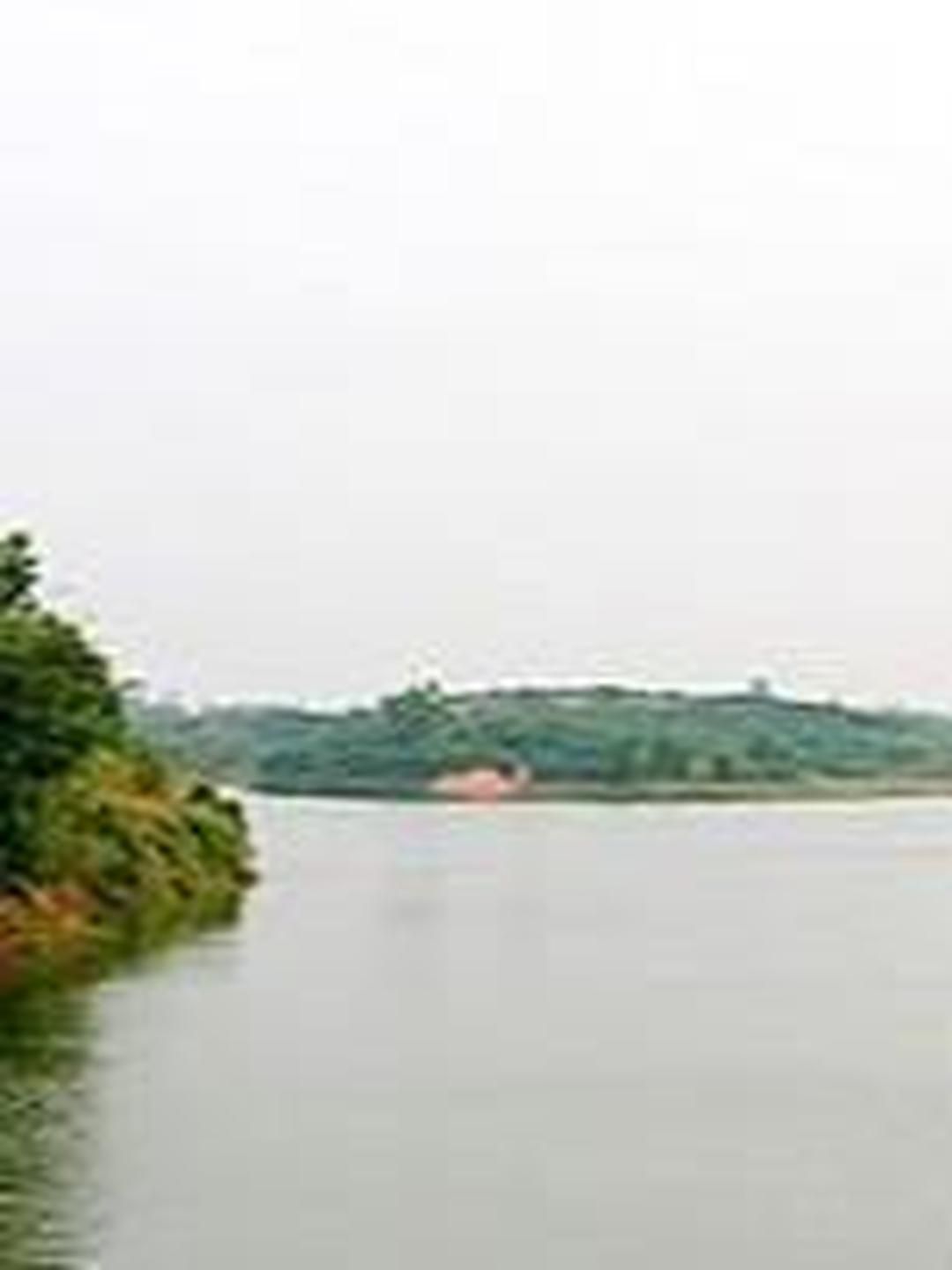 邓阳湖农业生态旅游景区旅行图片 1
