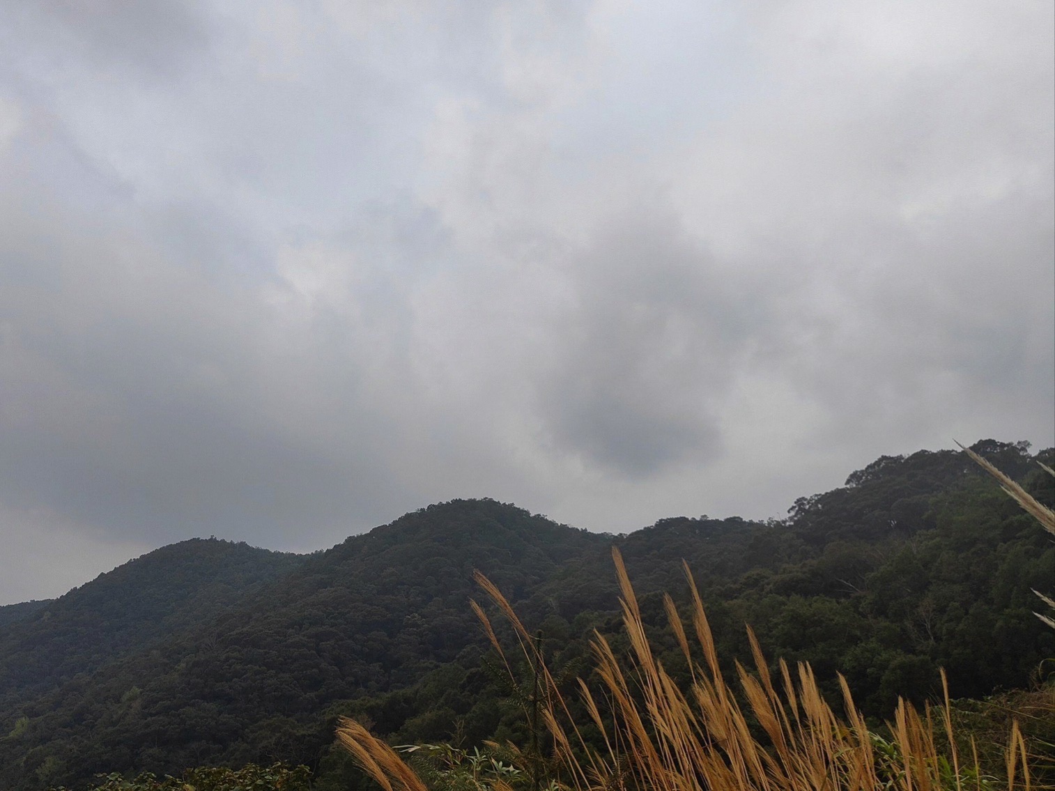 五皇山自然风景区旅行图片 3