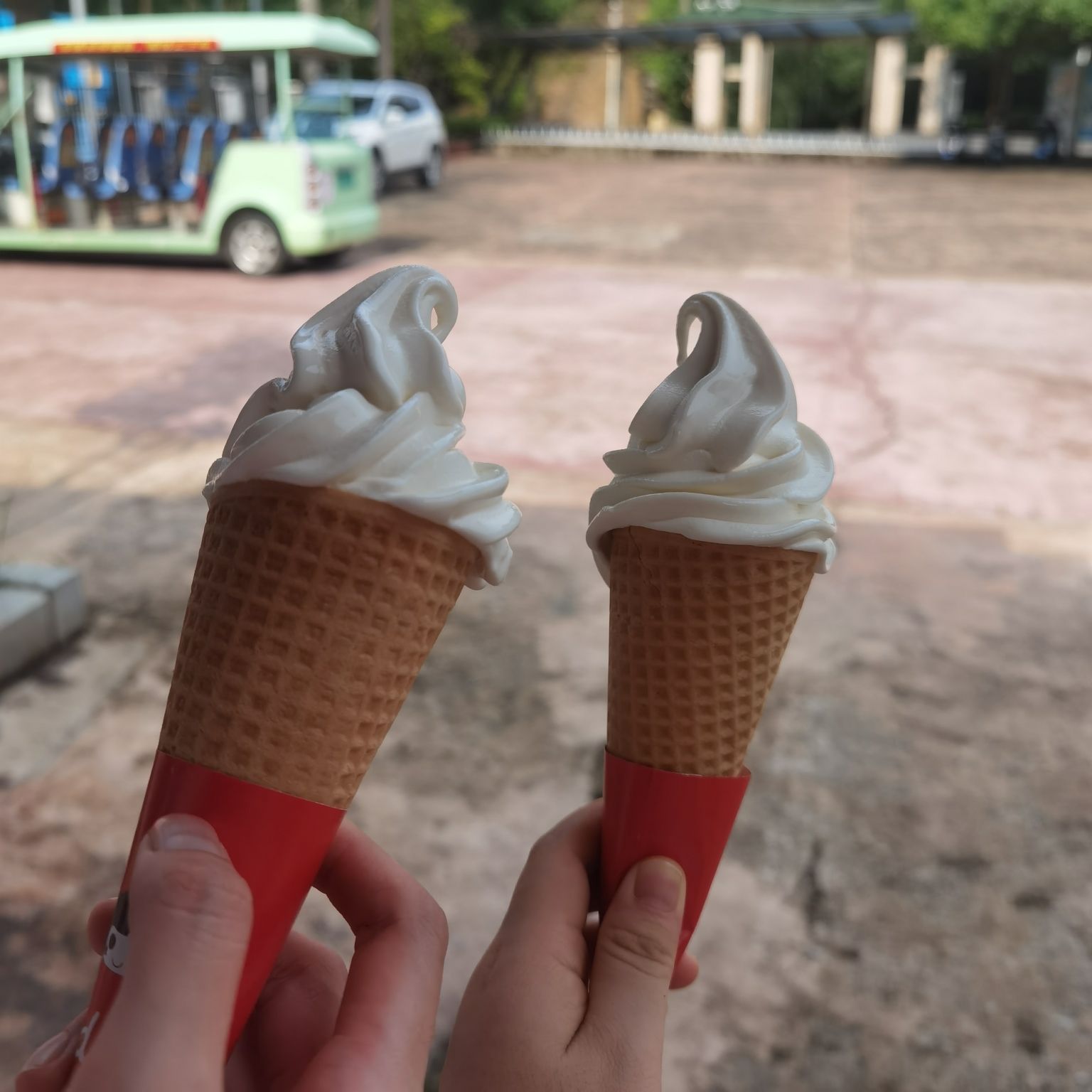 林湖森林公园旅行图片 2