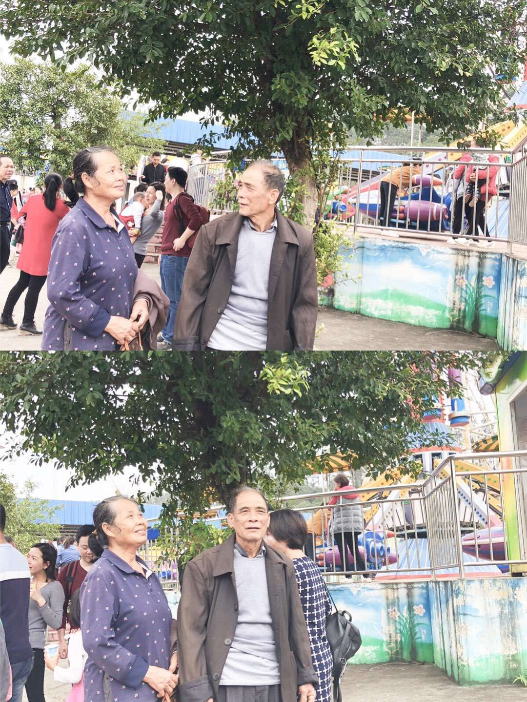 林湖森林公园旅行图片 1