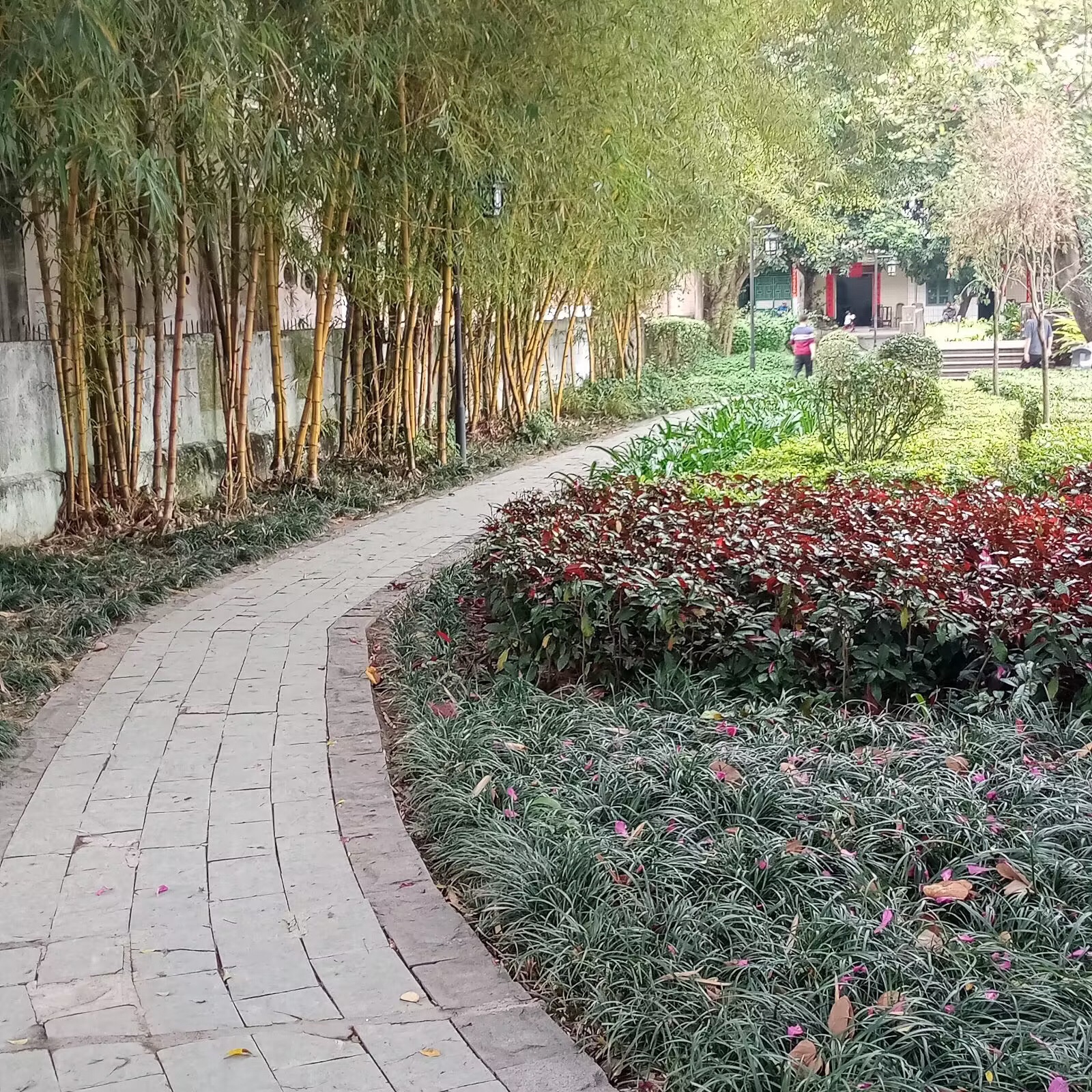 中山公园旅行图片 3