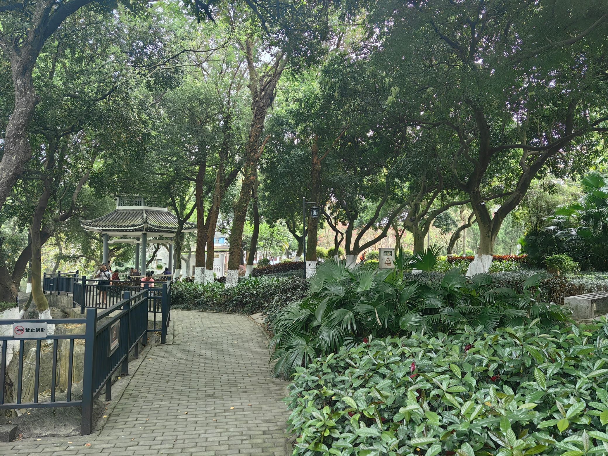 中山公园