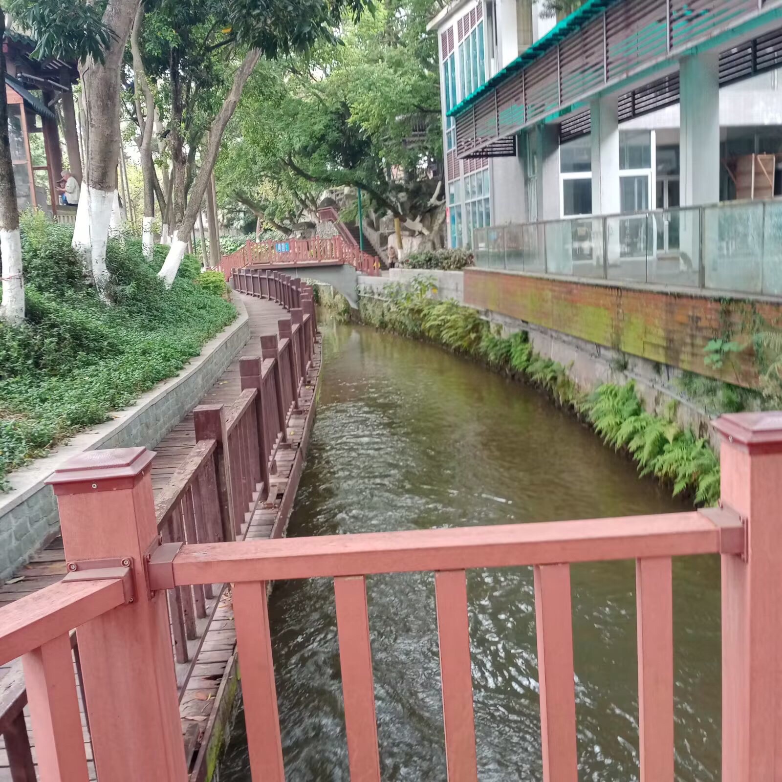 中山公园旅行图片 3