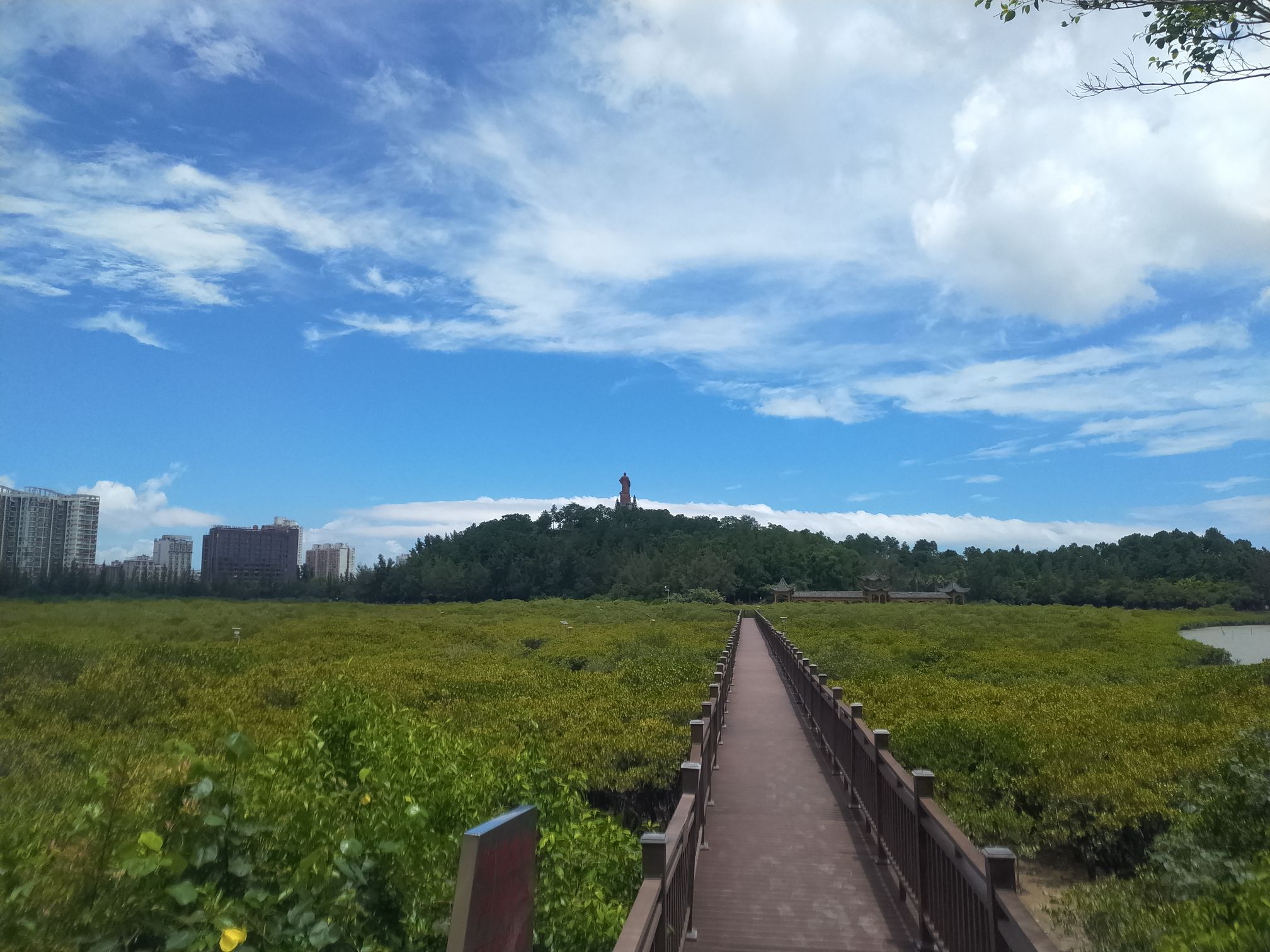 仙岛公园旅行图片 2