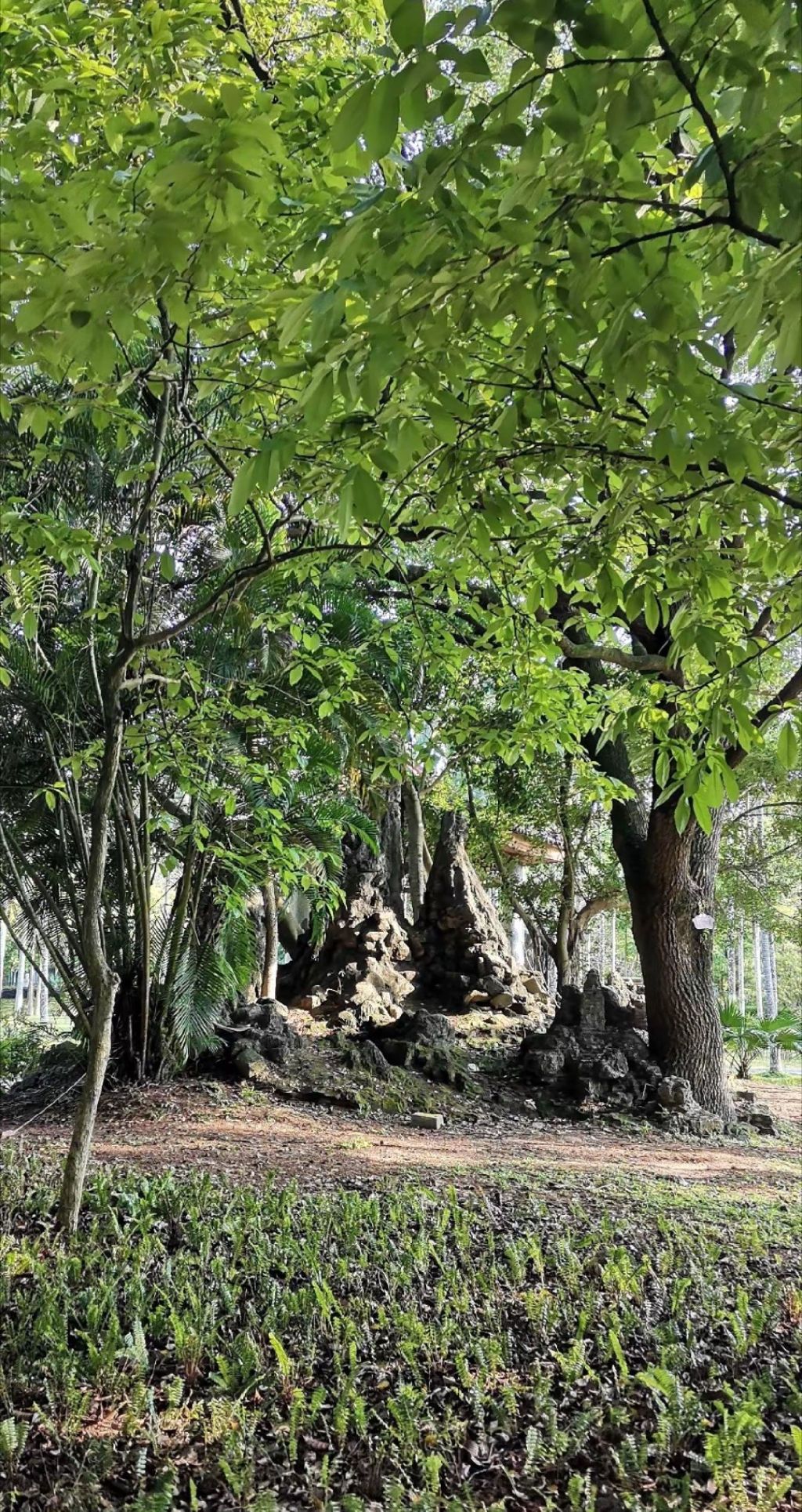 中山公园