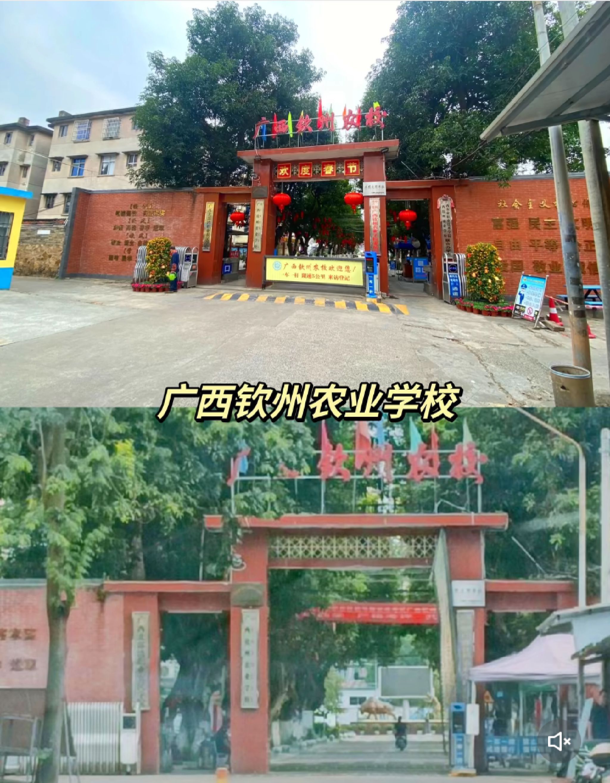 广西钦州农业学校