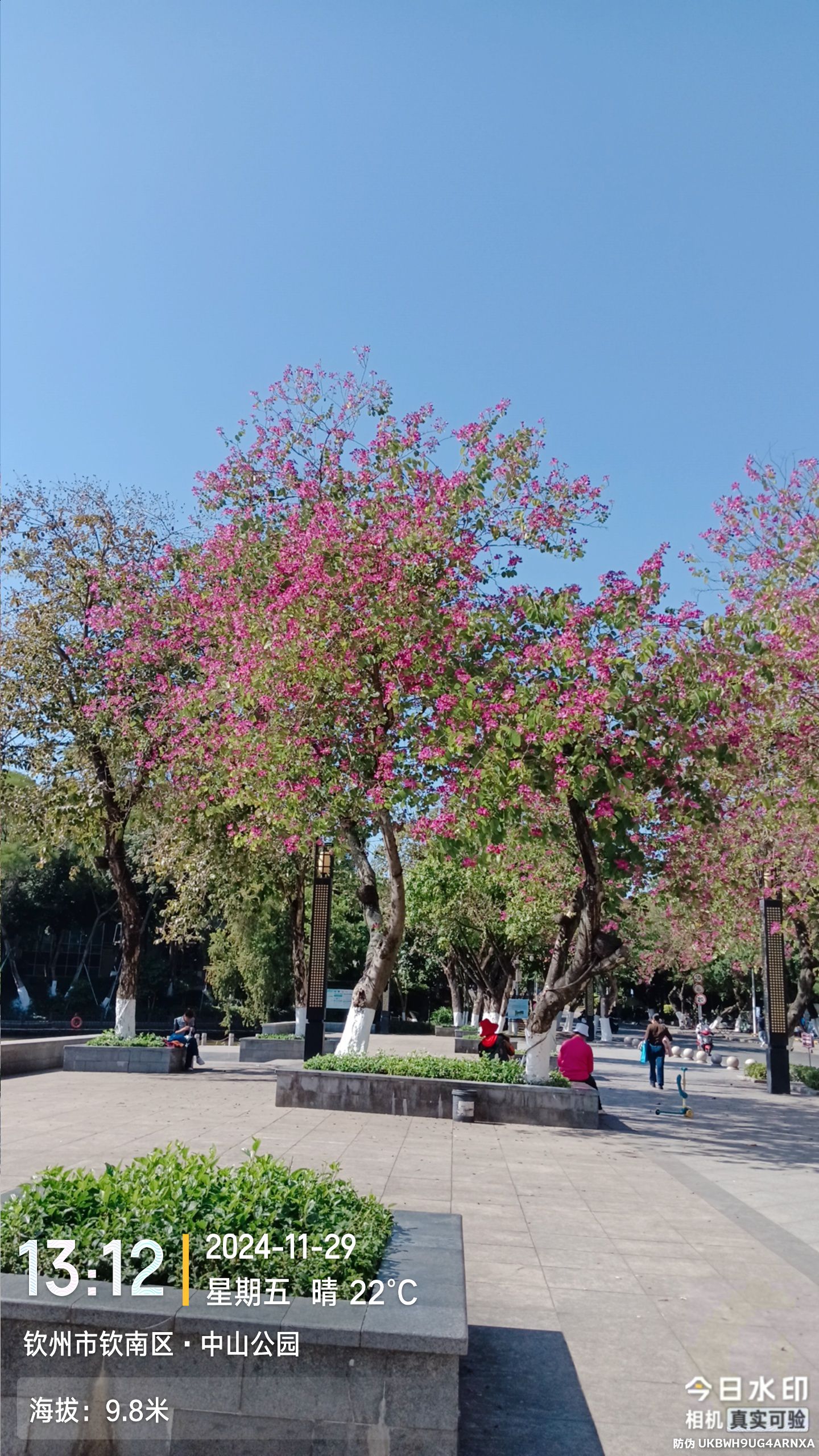 钦州湾广场