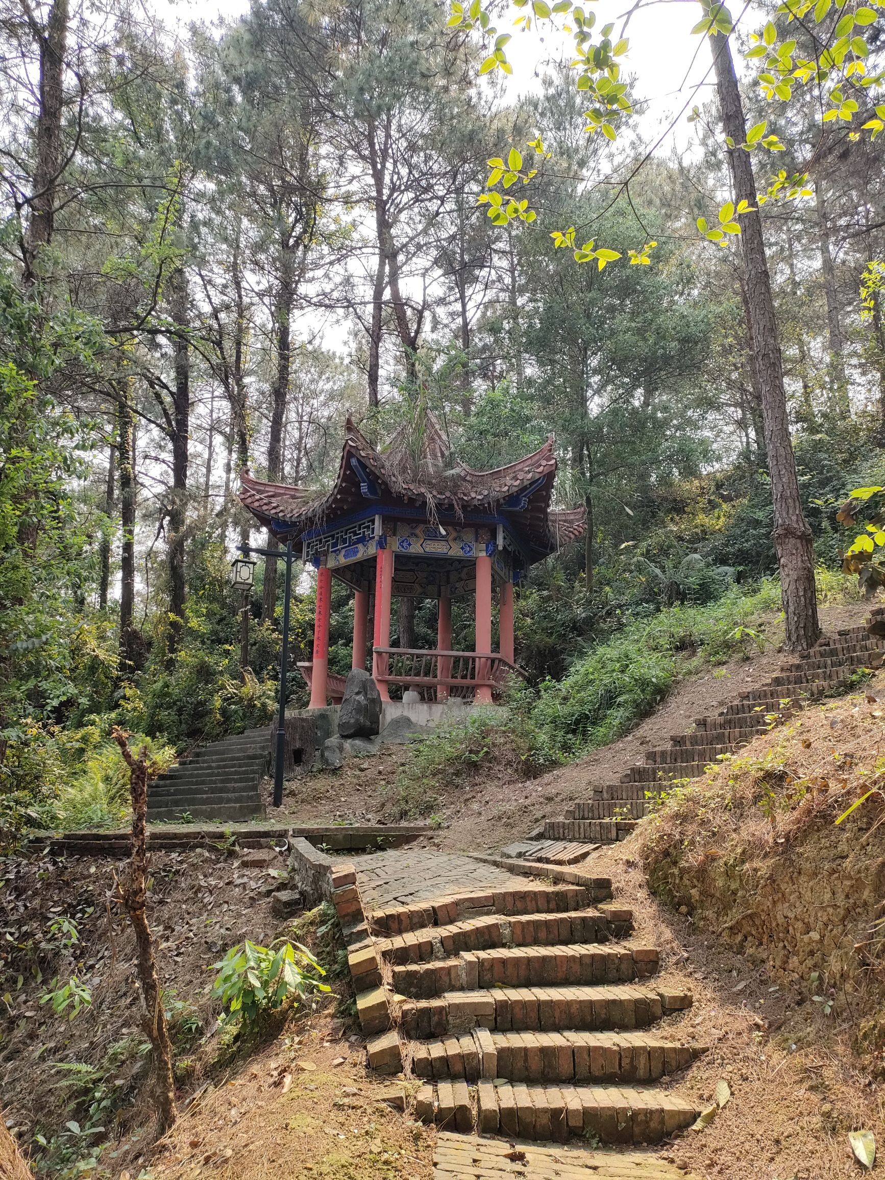 双鹤公园