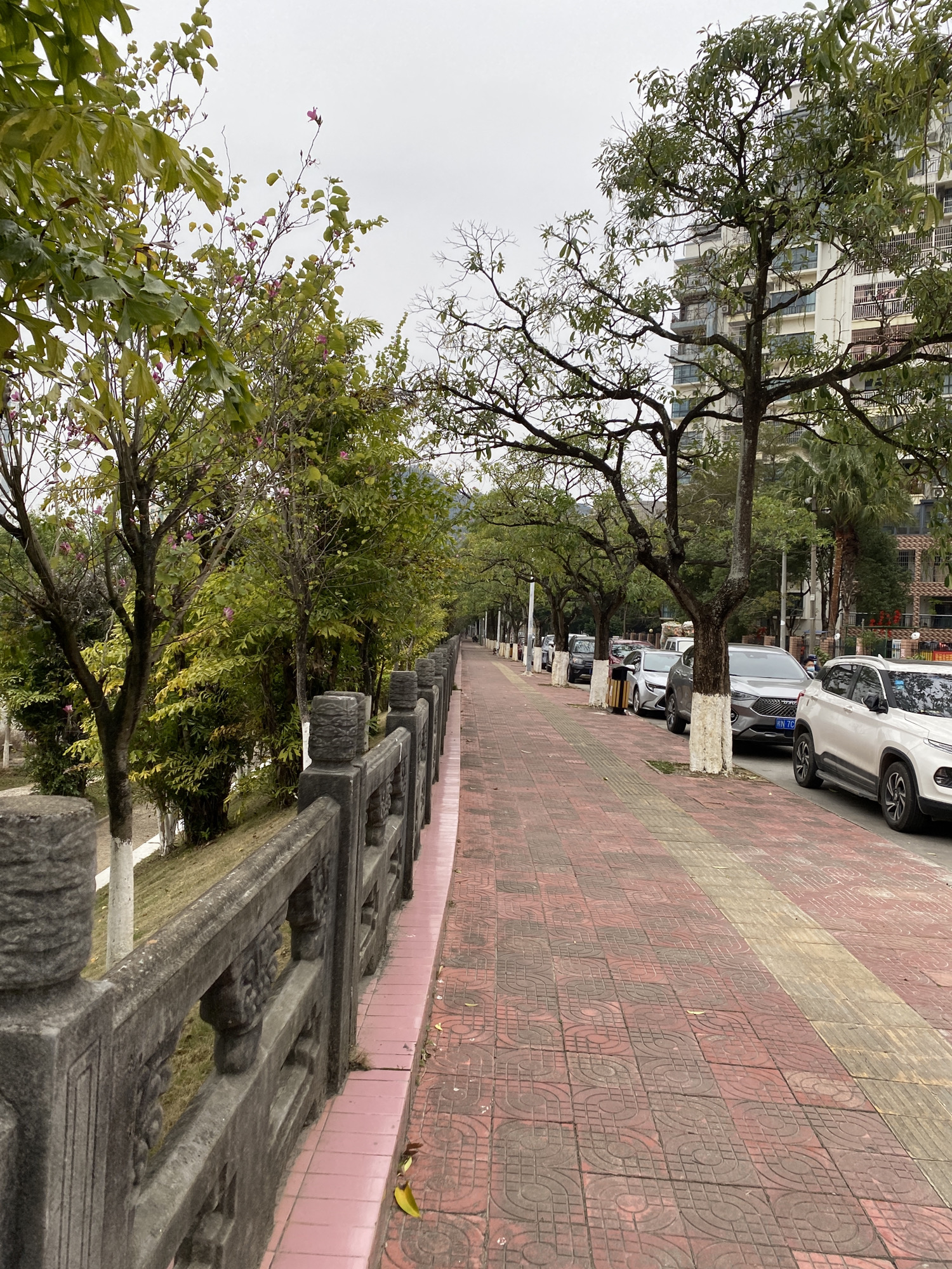 双鹤公园旅行图片 2
