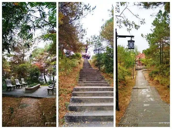 双鹤公园旅行图片 2