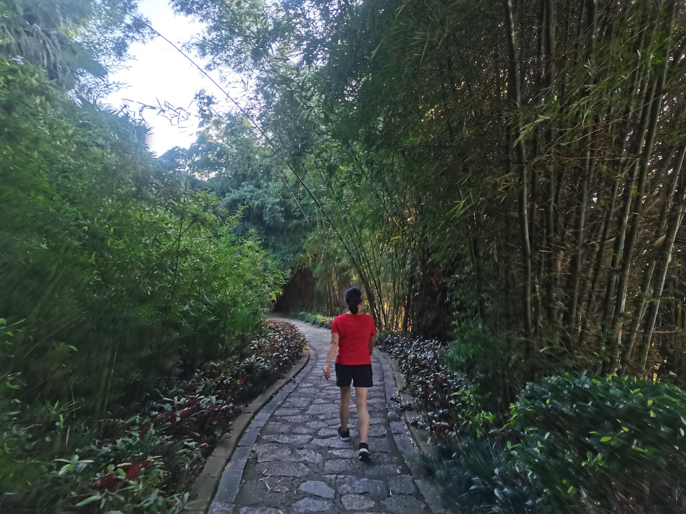 河堤公园旅行图片 2