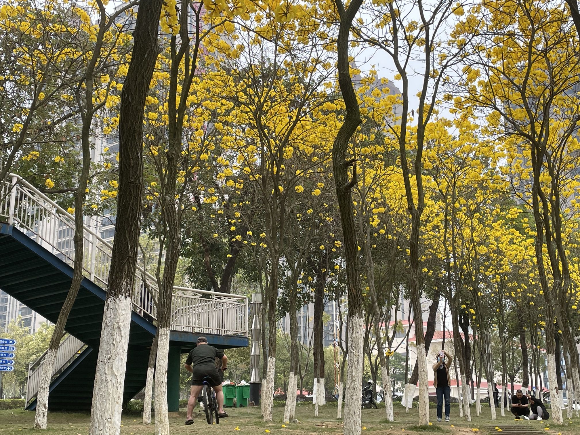 河堤公园旅行图片 1