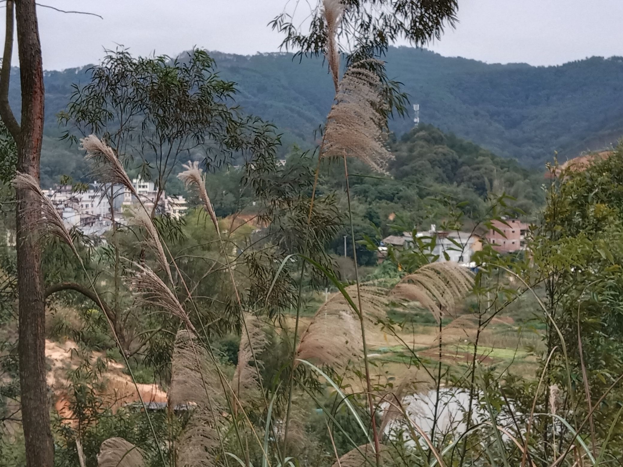 文昌公园旅行图片 3