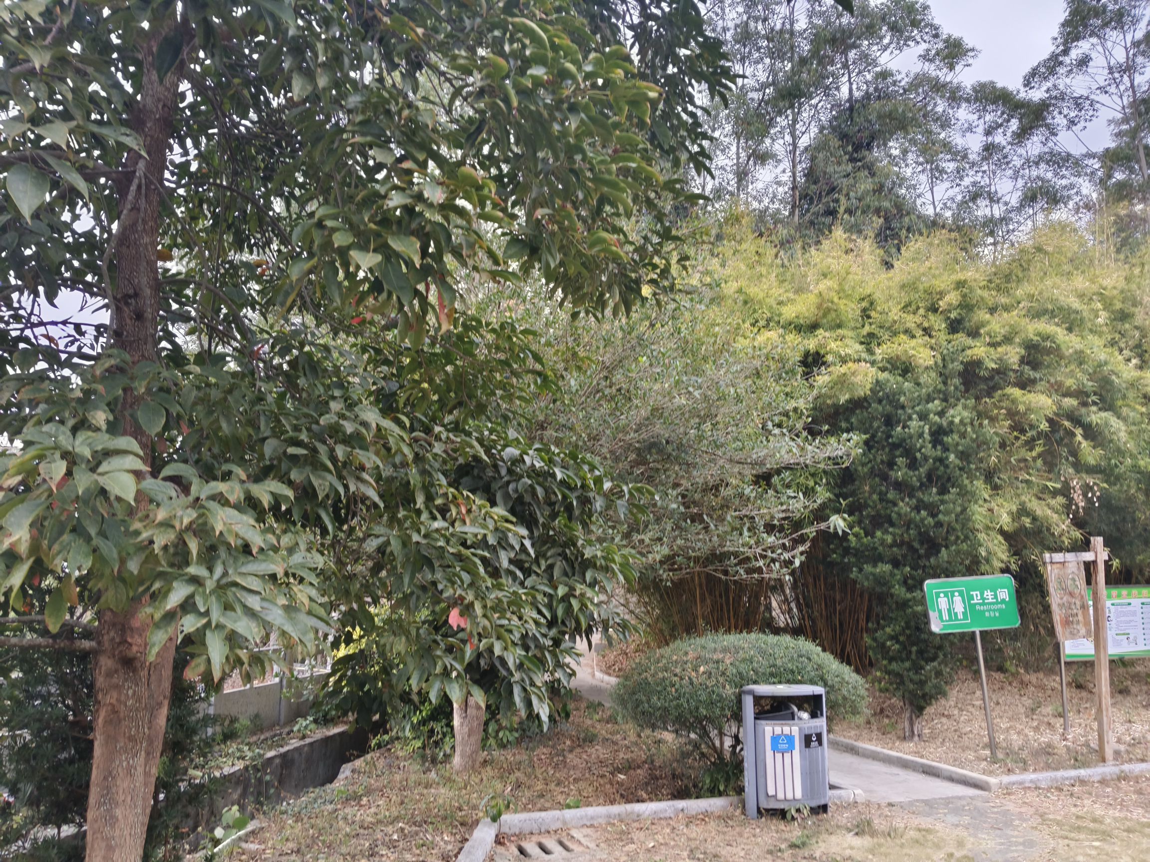 文昌公园旅行图片 3