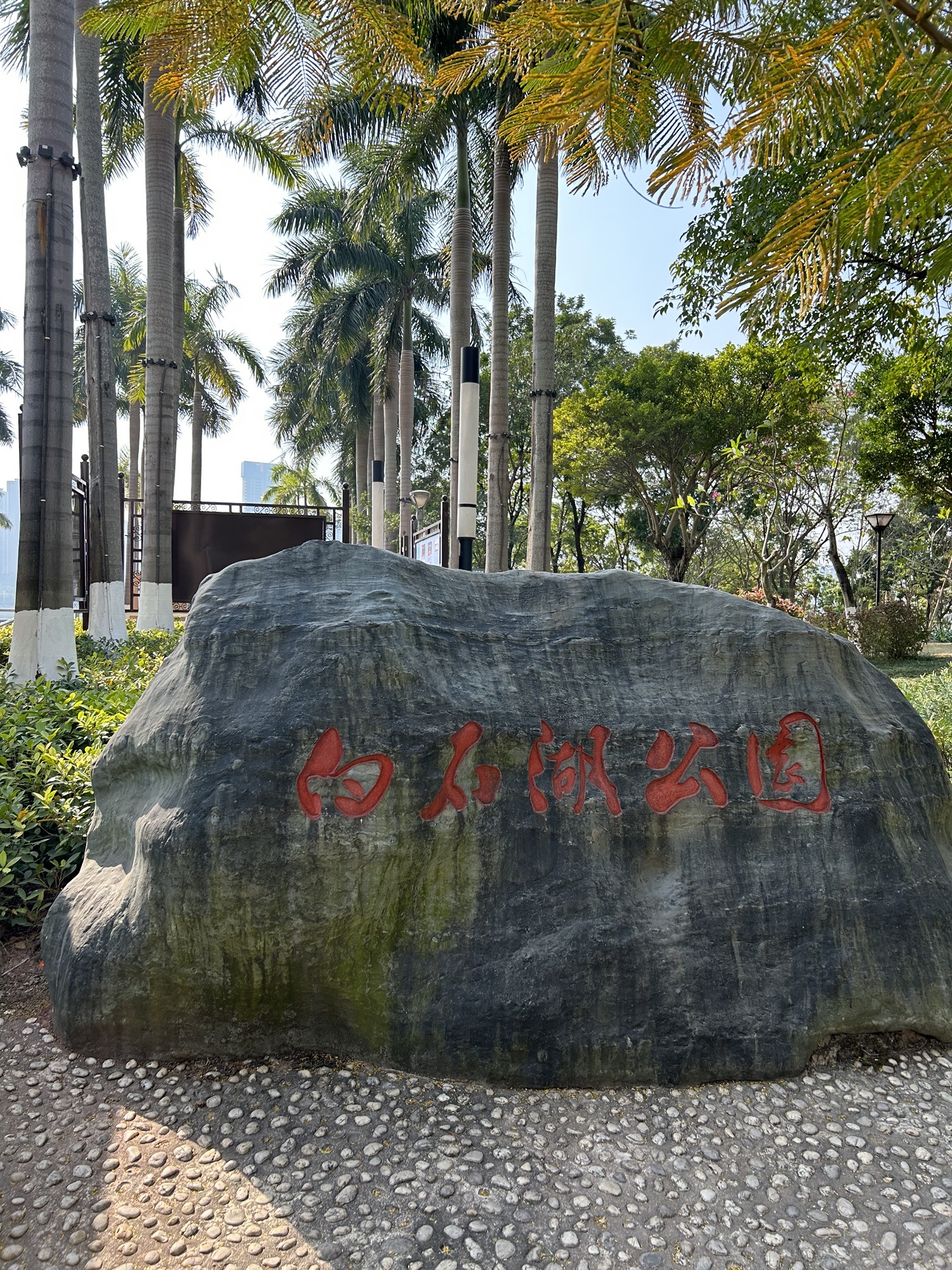 白石湖公园旅行图片 1