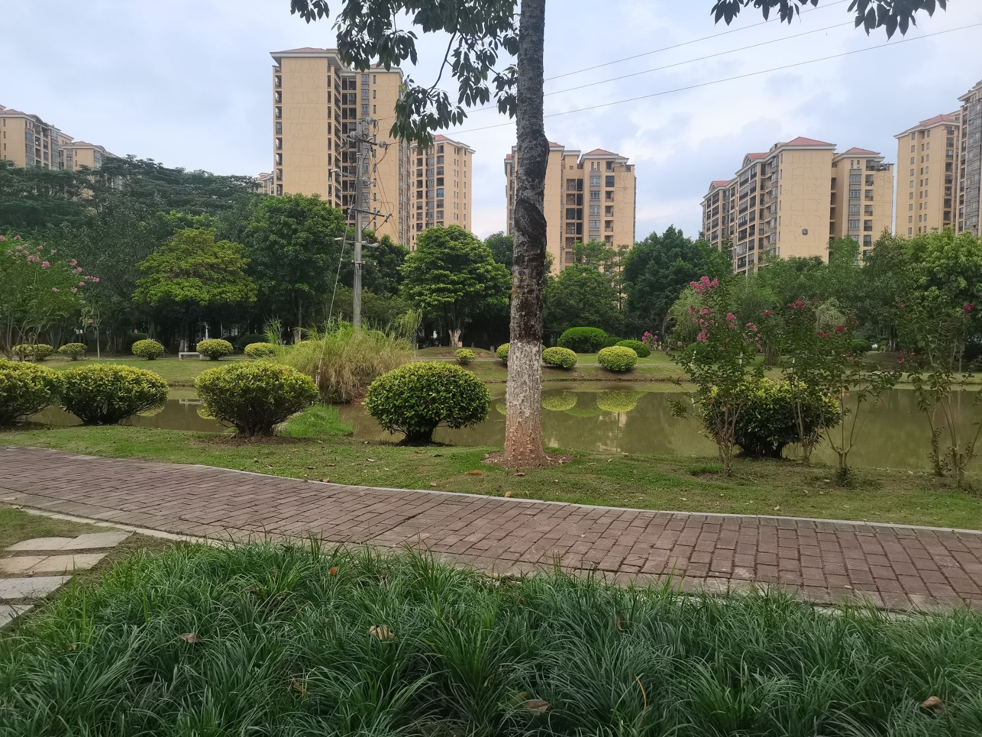 同心园旅行图片 1
