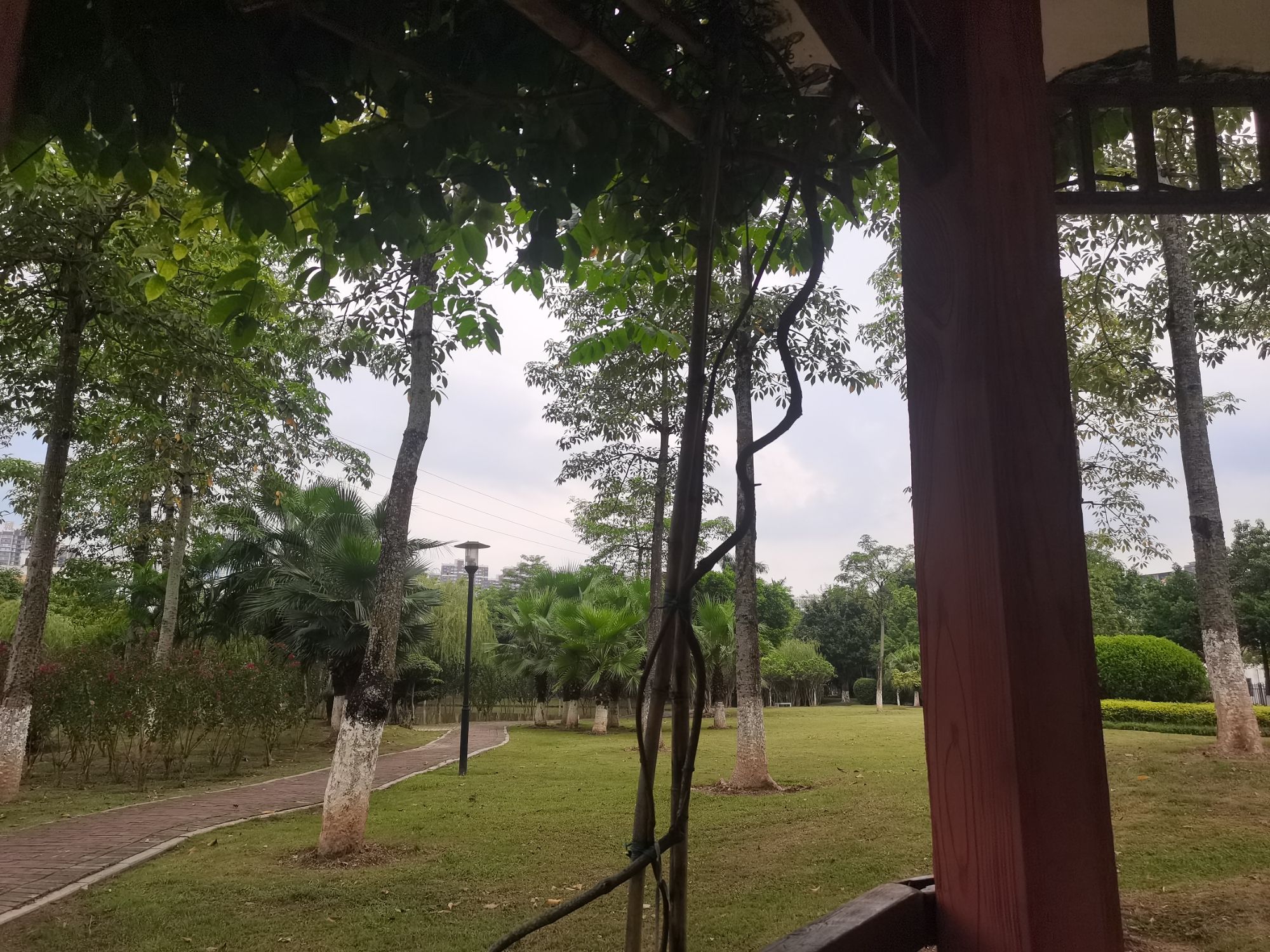 同心园旅行图片 3