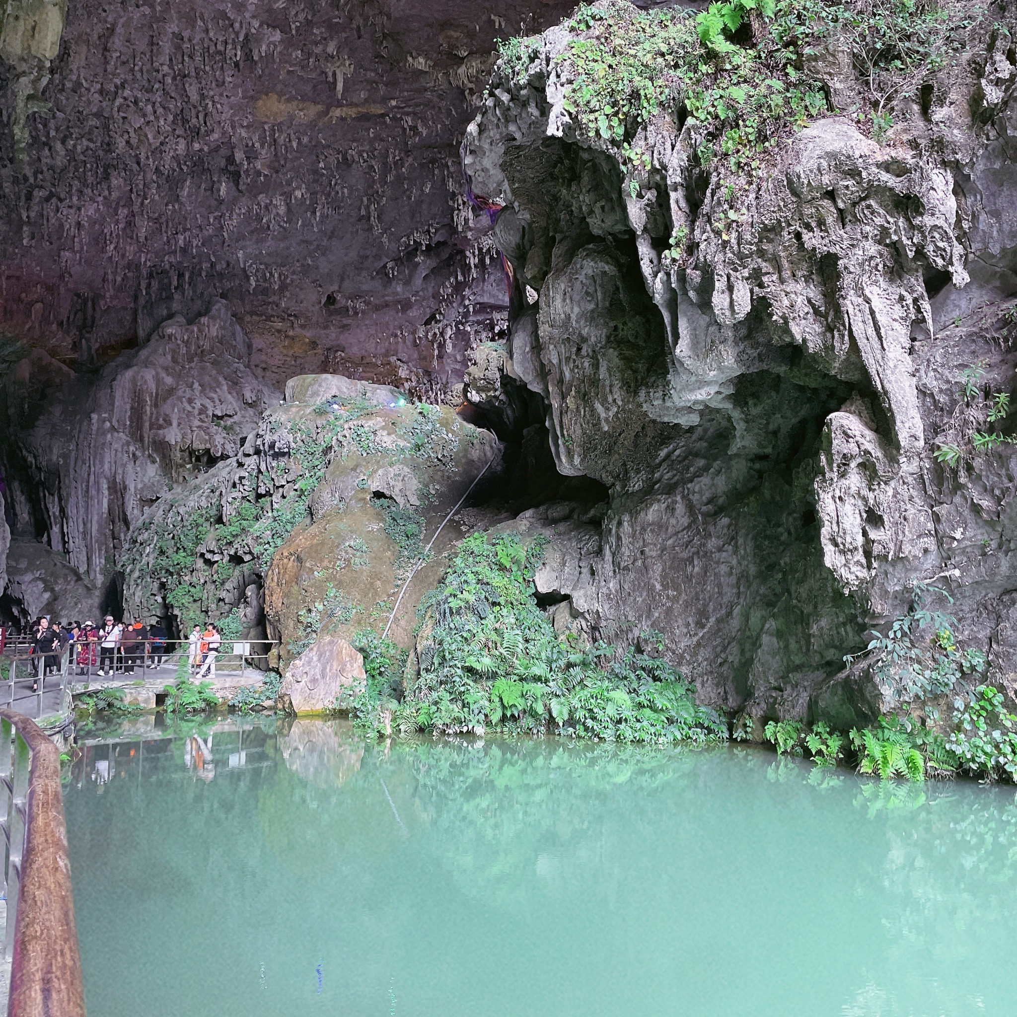 百魔洞旅行图片 1