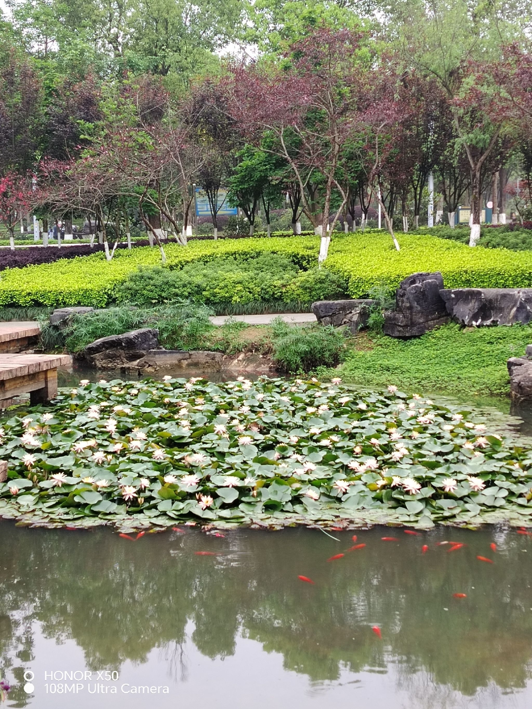 金城江公园