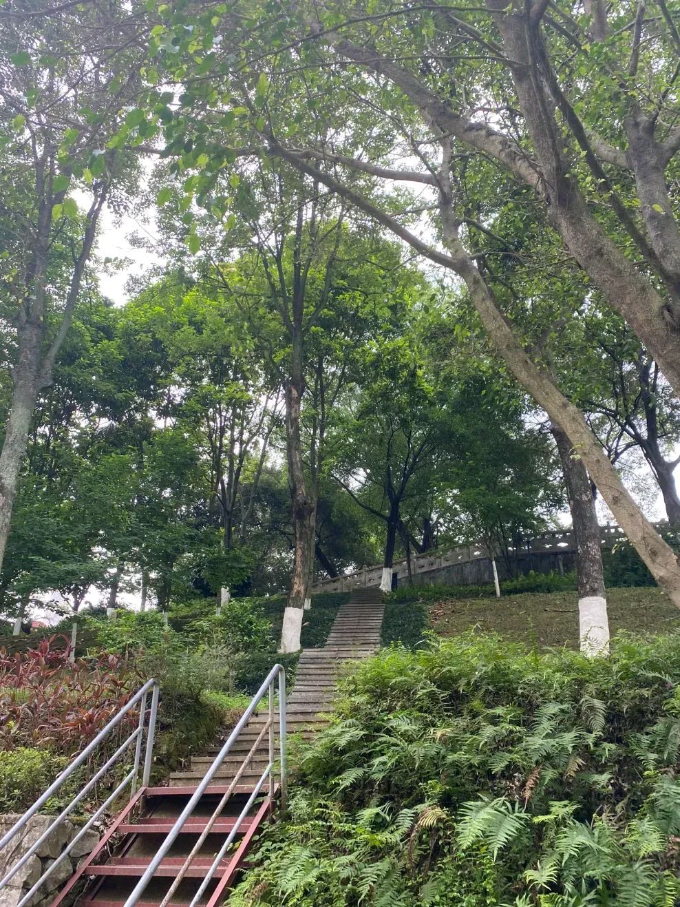 河池市中心广场旅行图片 1