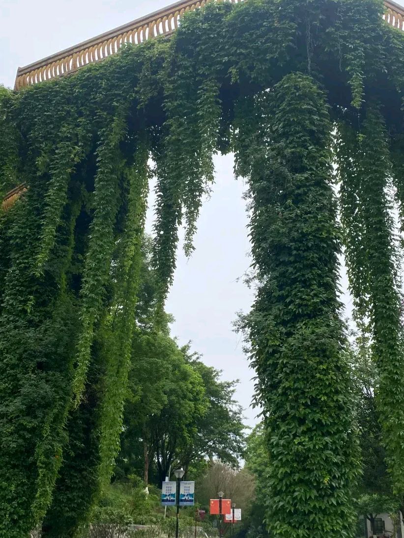河池市中心广场旅行图片 3