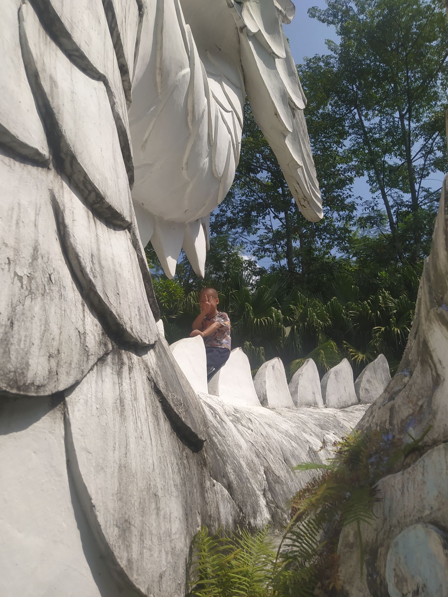 白龙公园旅行图片 1