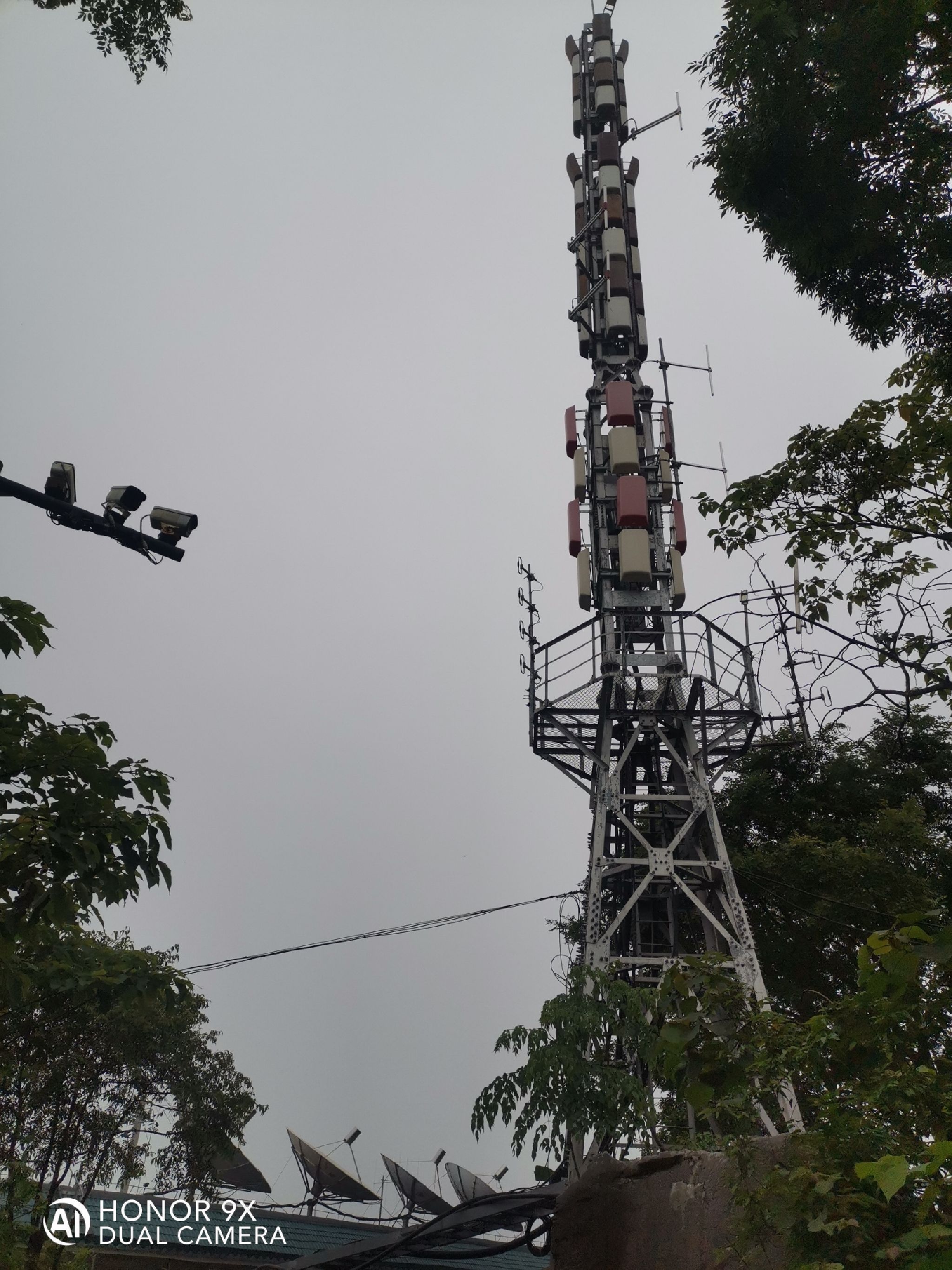 白龙公园旅行图片 2