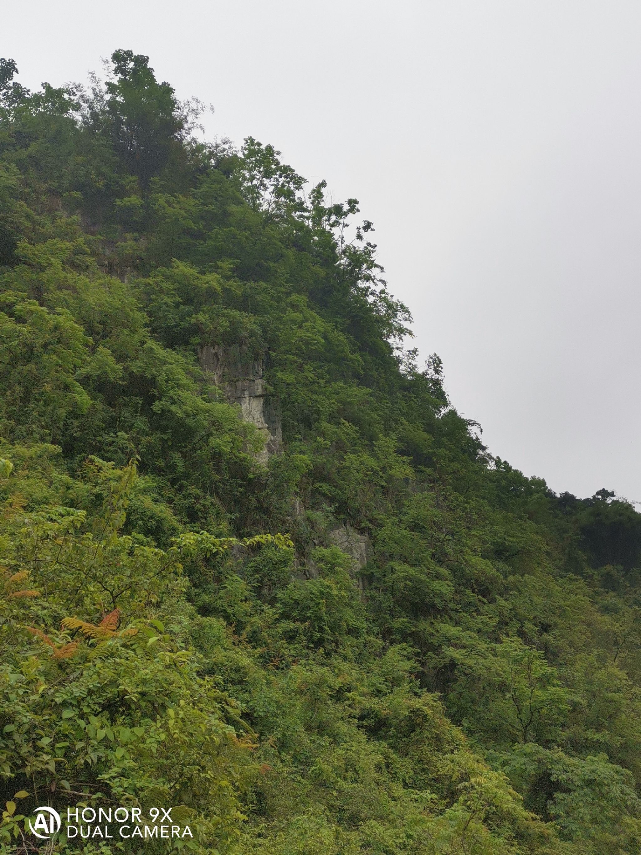 白龙公园旅行图片 1