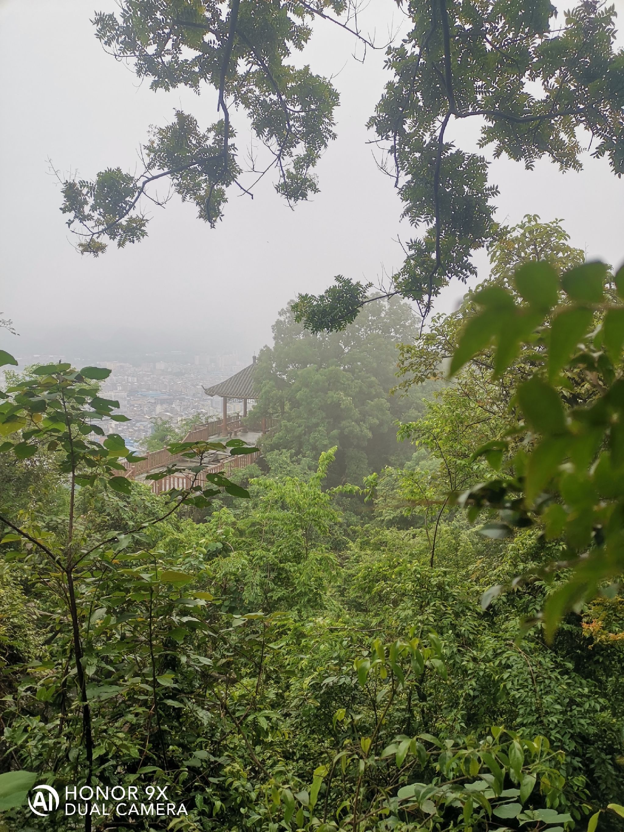 白龙公园旅行图片 3