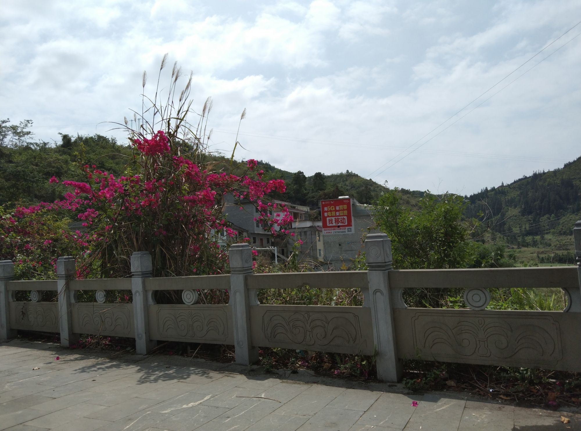 江洲仙人桥景区旅行图片 2