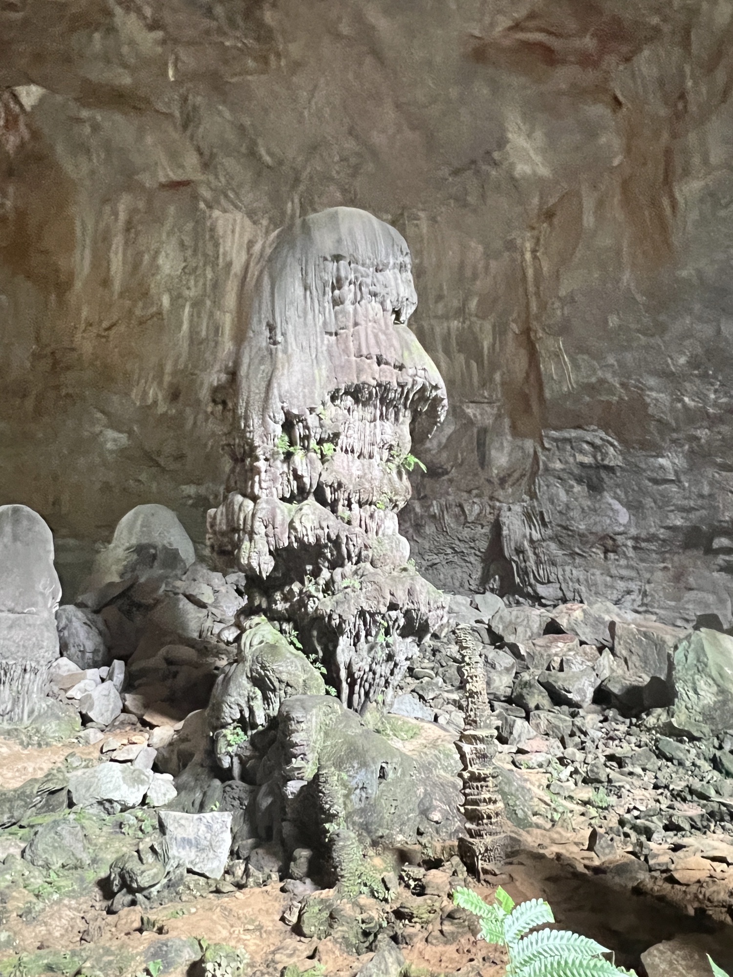 弄响天坑旅行图片 1